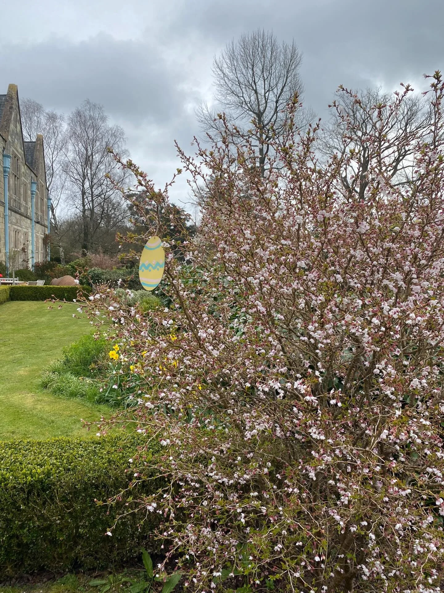 Here&rsquo;s a hint for your first Easter Egg spot! Nine more to find plus the Easter Bunny - all very easy and a lovely way to explore and enjoy the gardens. We&rsquo;re open tomorrow for the rest of the summer. Tickets available from the Farm Shop 