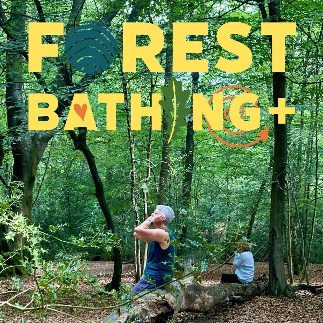 An opportunity to experience forest bathing in the beautiful grounds of Falconhurst Estate.

Kirsty Mauritz, a qualified Forest Bathing+ Guide, will lead you through a unique combination of techniques to calm the nervous system whilst maximising the 