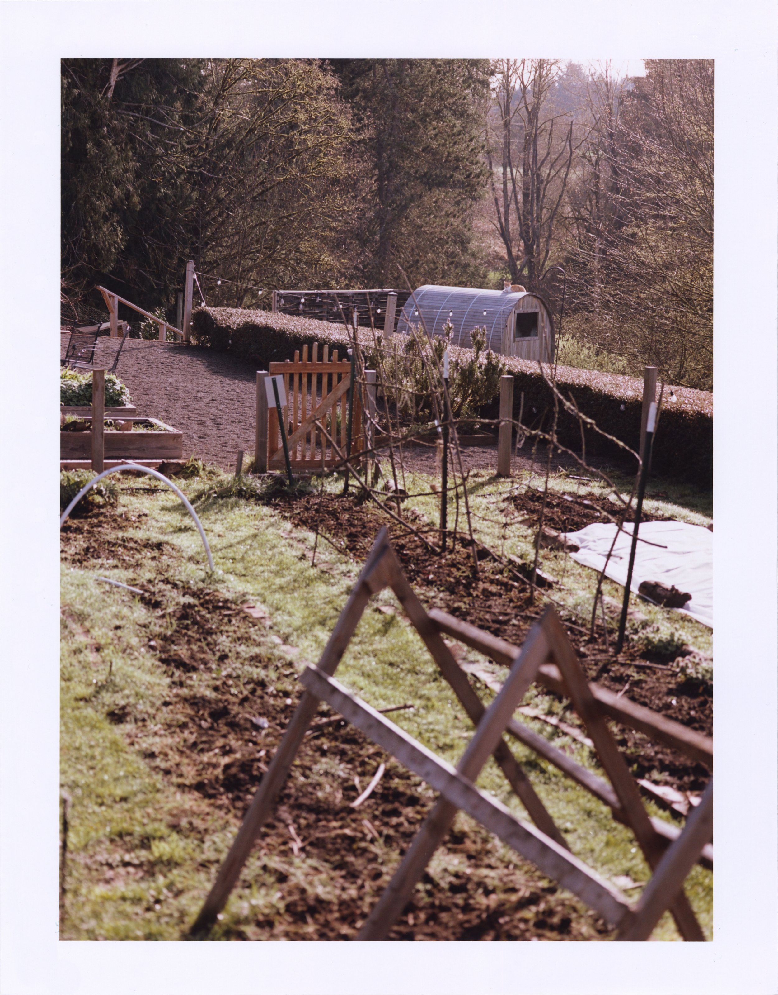 cortneymorentin_sostahouse-4.jpg