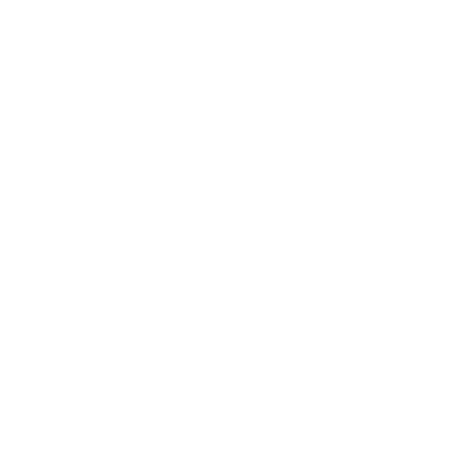 Brown Dog Media