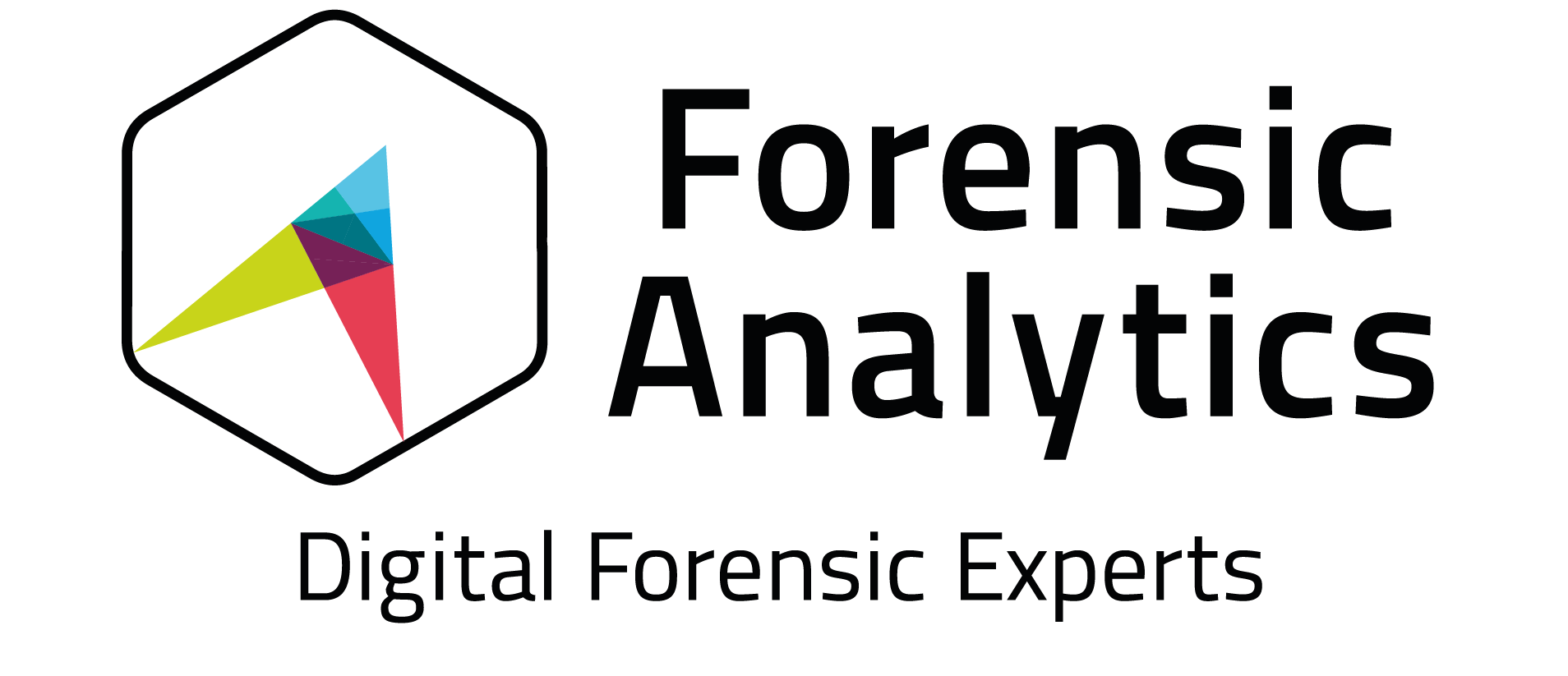 Forensic Analytics-01-01.png