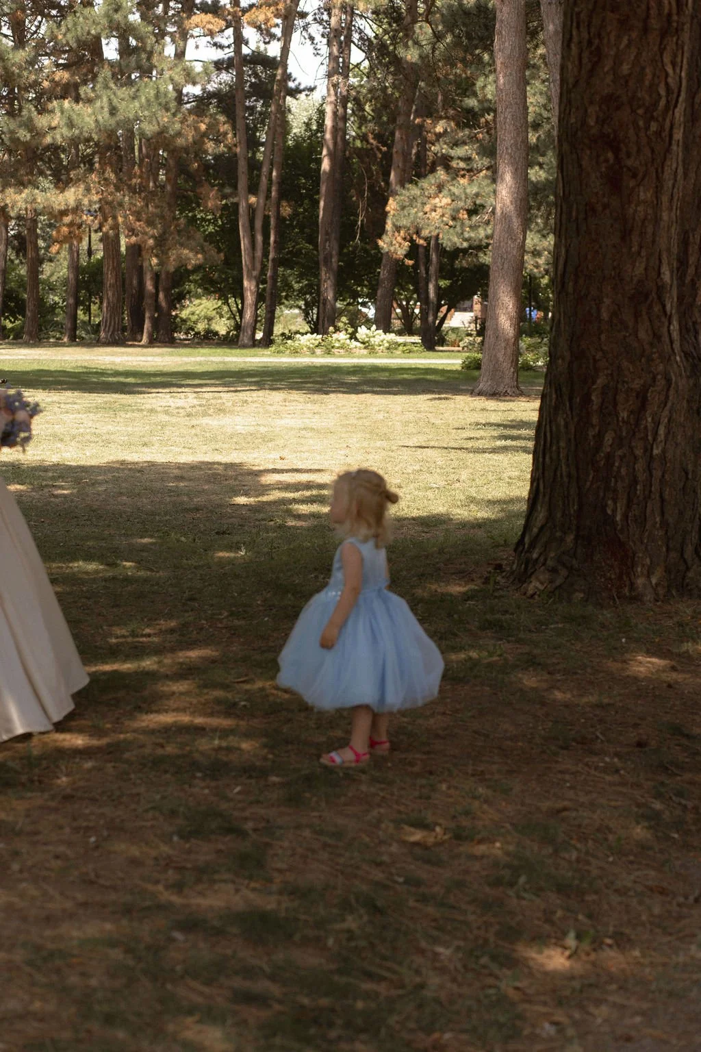 jakeandnicolehamiltonontarioweddingartgallery (232).jpg
