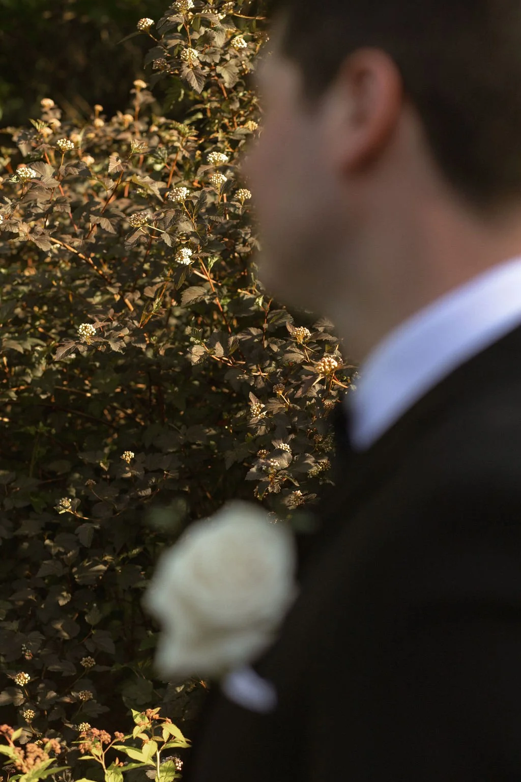 alexandchloewedding(563of701).jpg