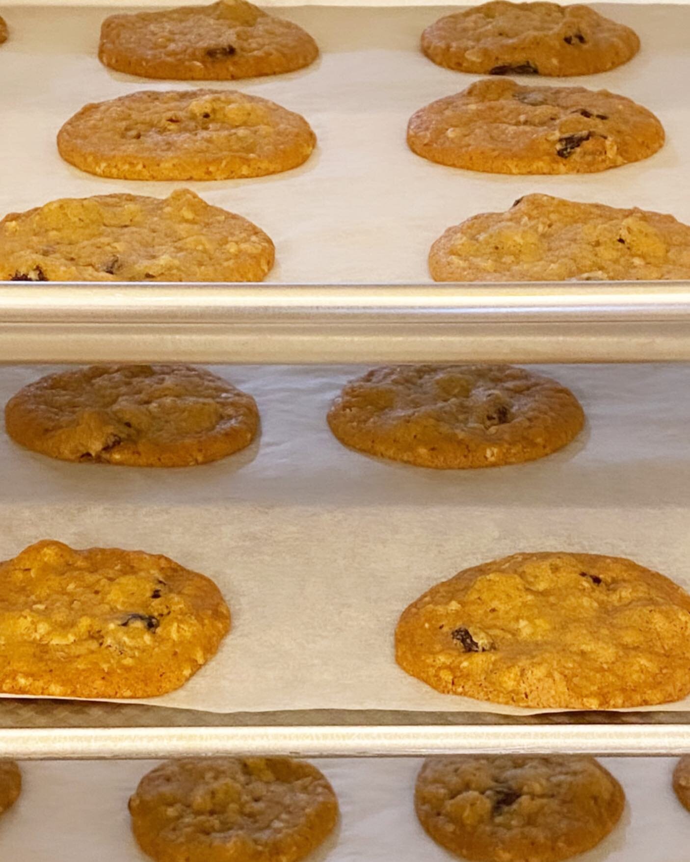 Getting into the Fall spirit with our newest seasonal flavor, Oatmeal Raisin. We have a few special events where it will be available- one of those being the Fall Pop-Up at @spottedcowvintage, starting TOMORROW! Who is an Oatmeal Raisin fan?