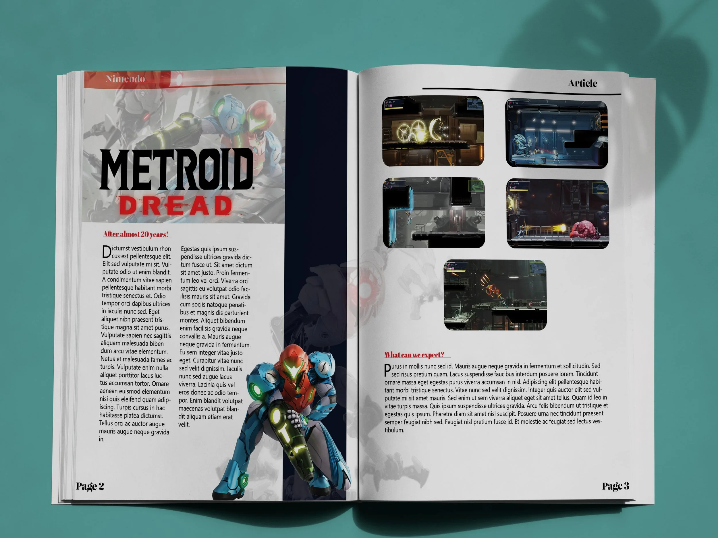 Switchmagazinepages1-2.jpg