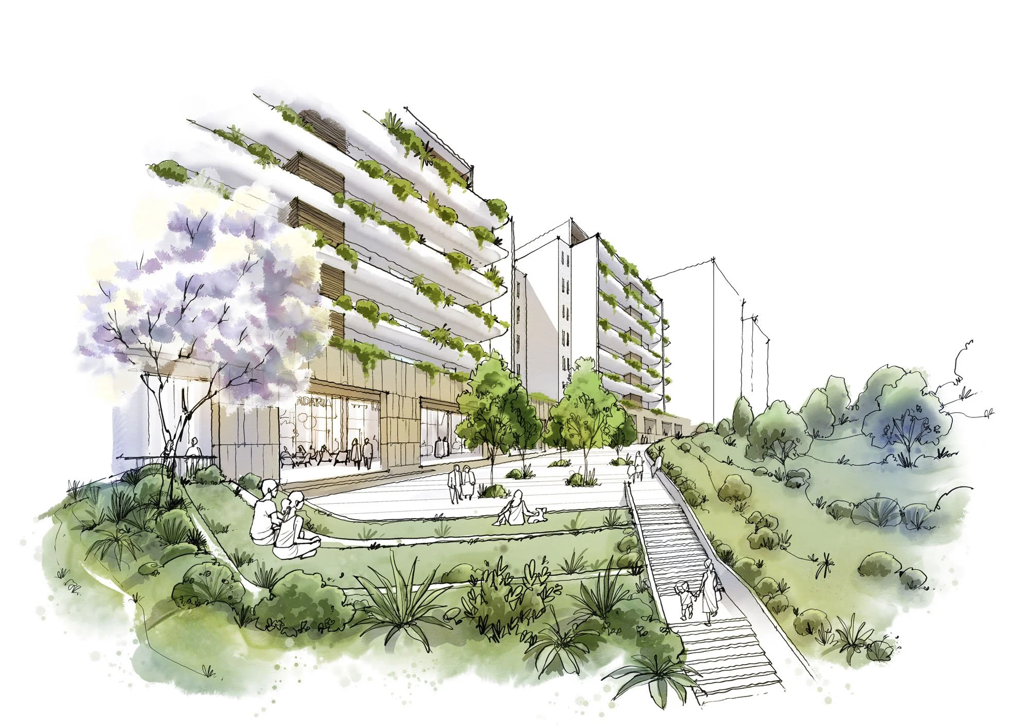 25102 1965 Oliveira ligacao 250402.jpg