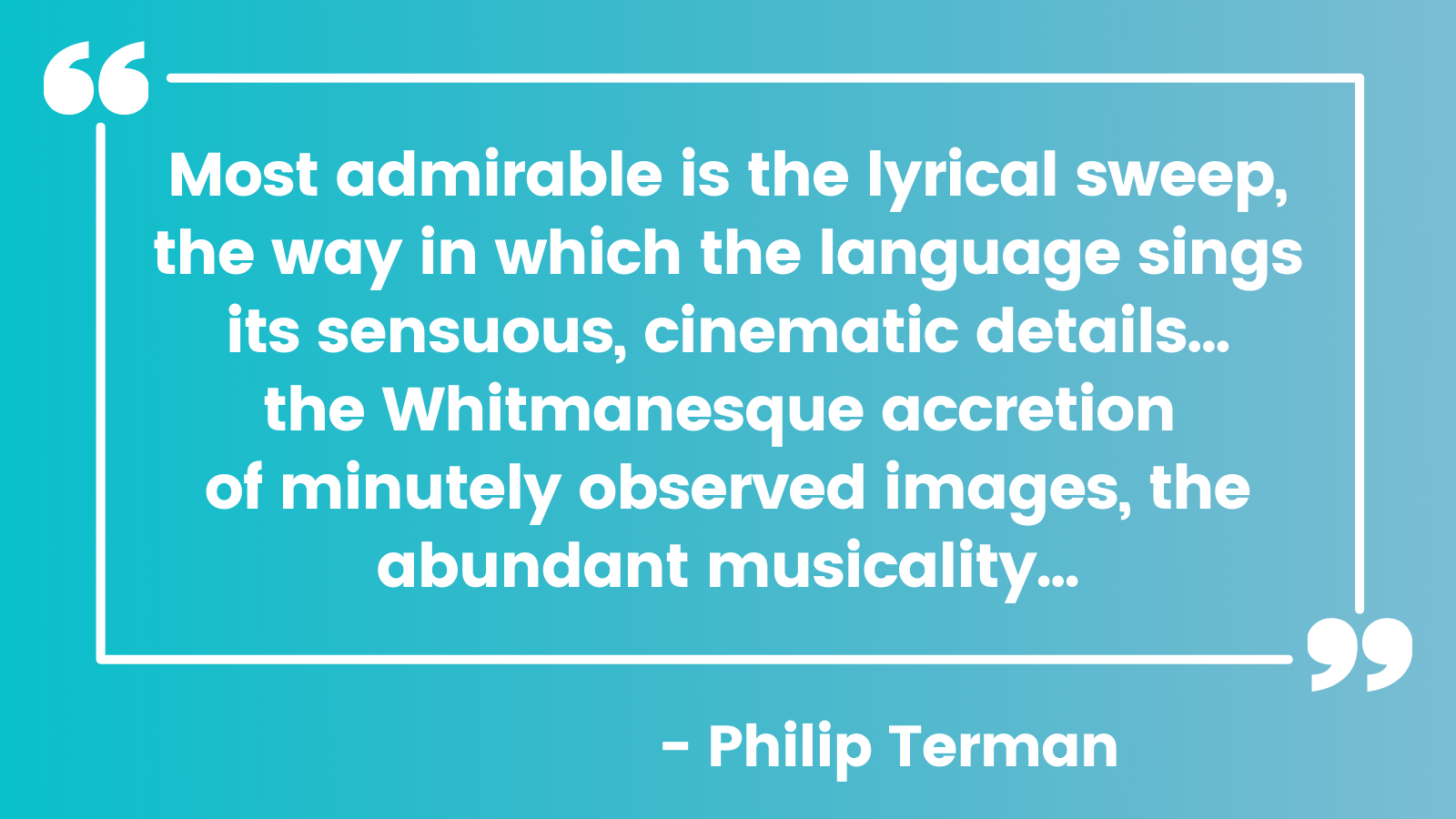 Philip Terman Review (2).png