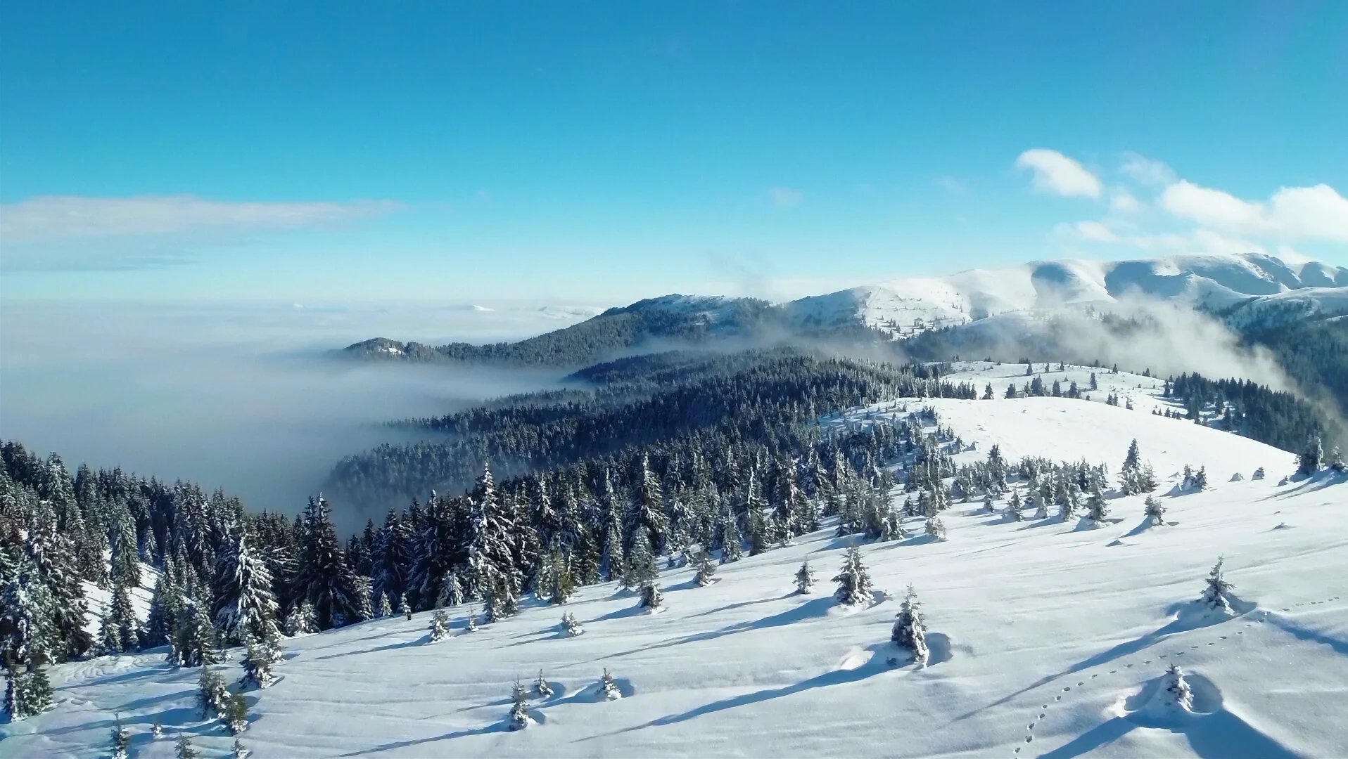 Welcome to SK Ventures