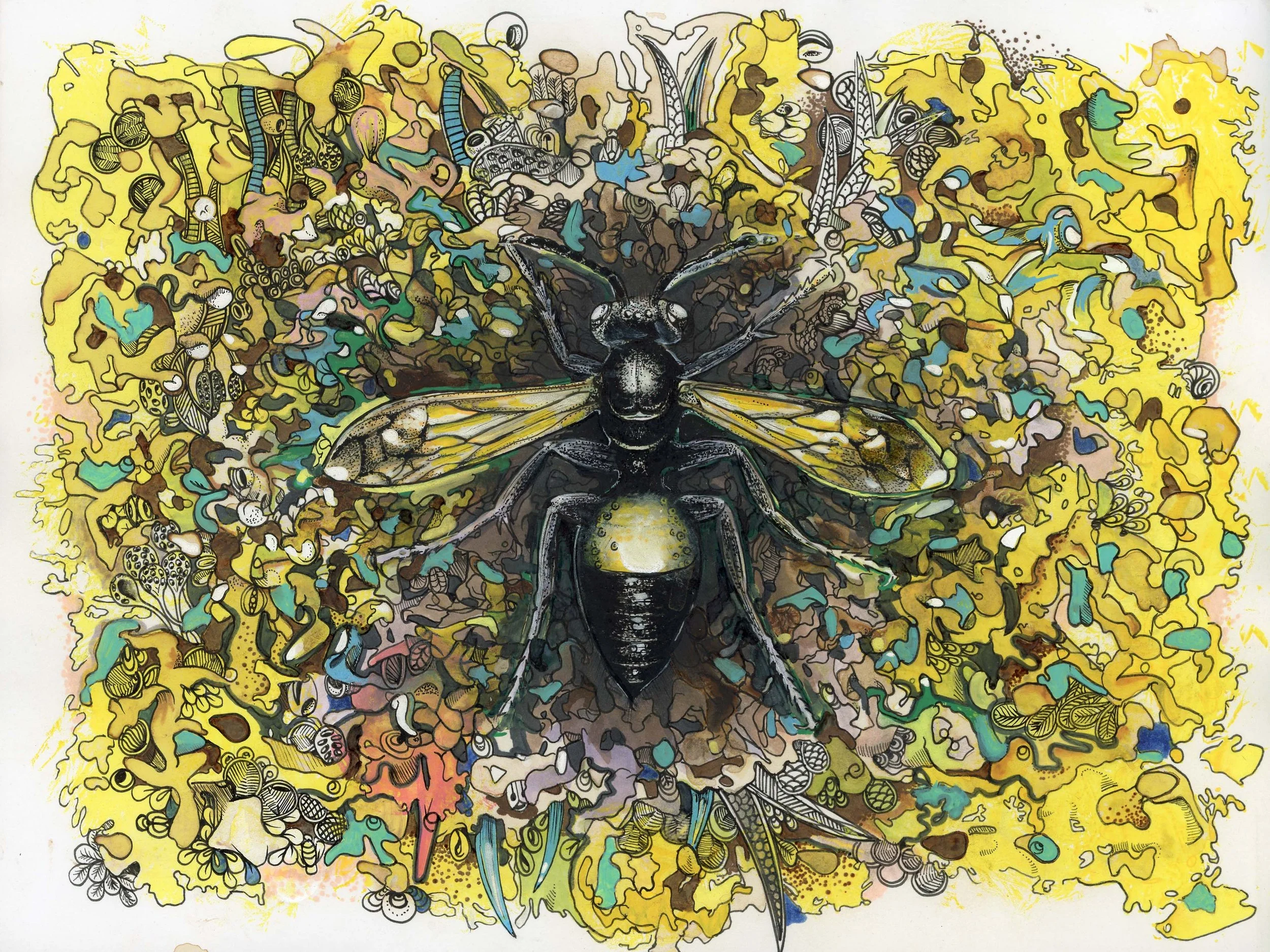 Hornet.sm.jpg