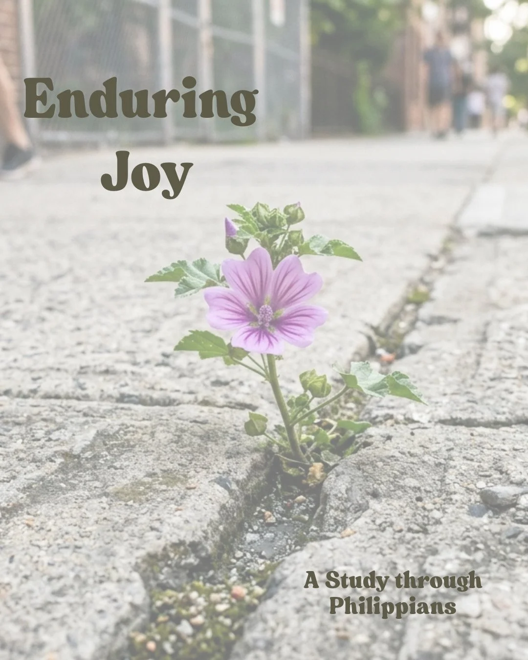 Enduring Joy 