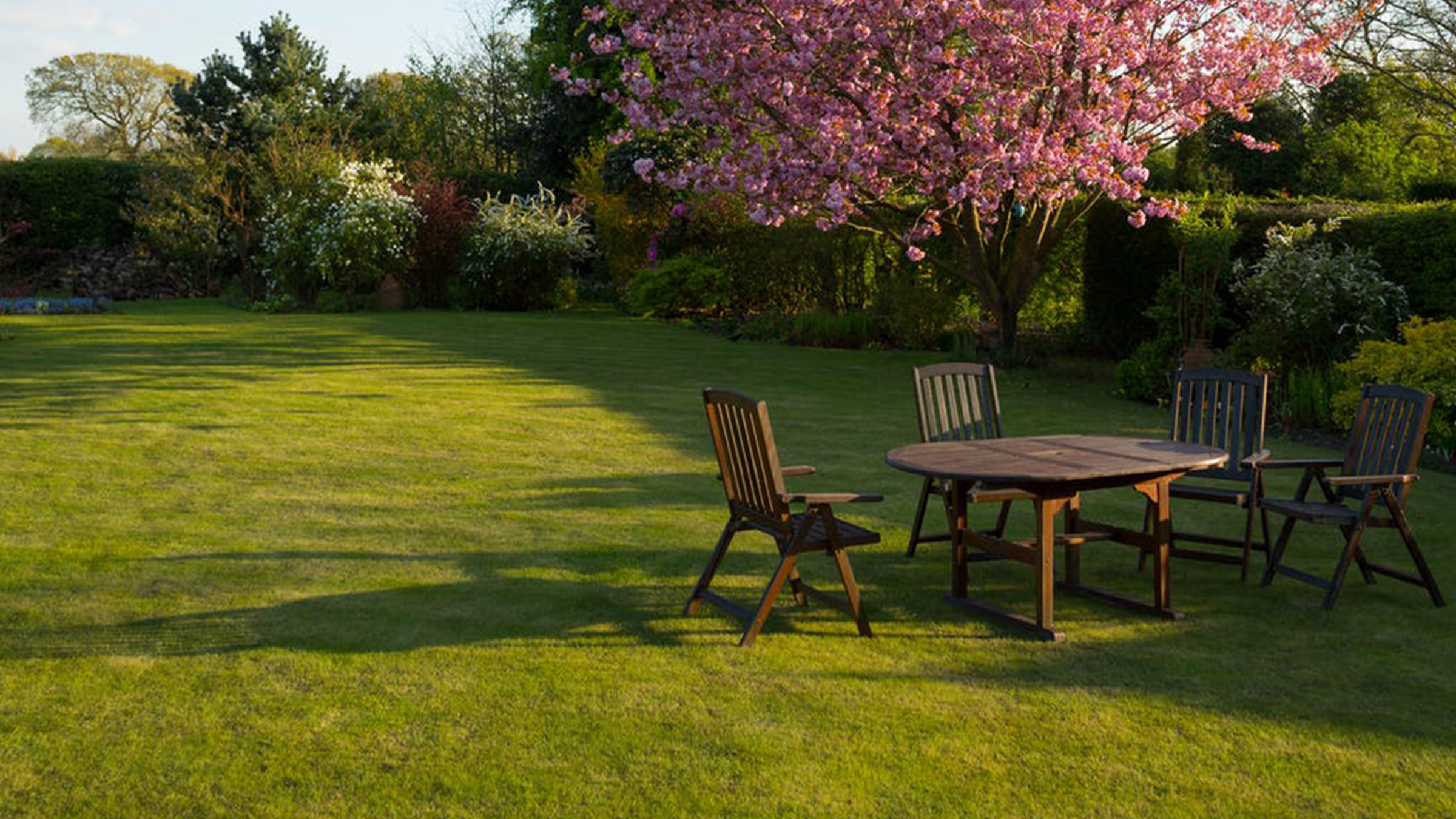 Top Tips for a Great Lawn