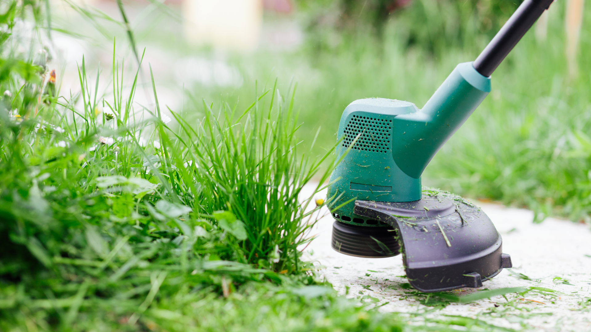 The Lazy Homeowner's Guide to a Low-Maintenance Lawn