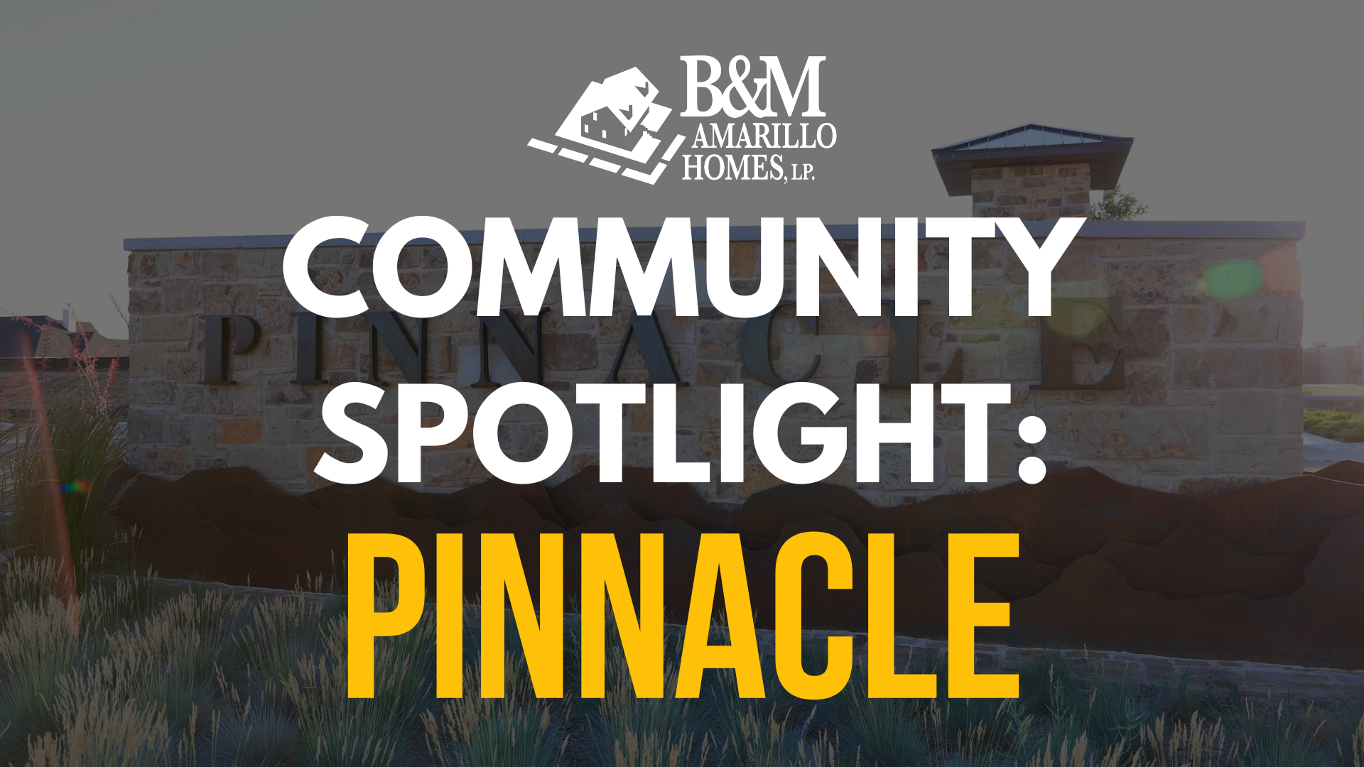 Community Spotlight: Pinnacle