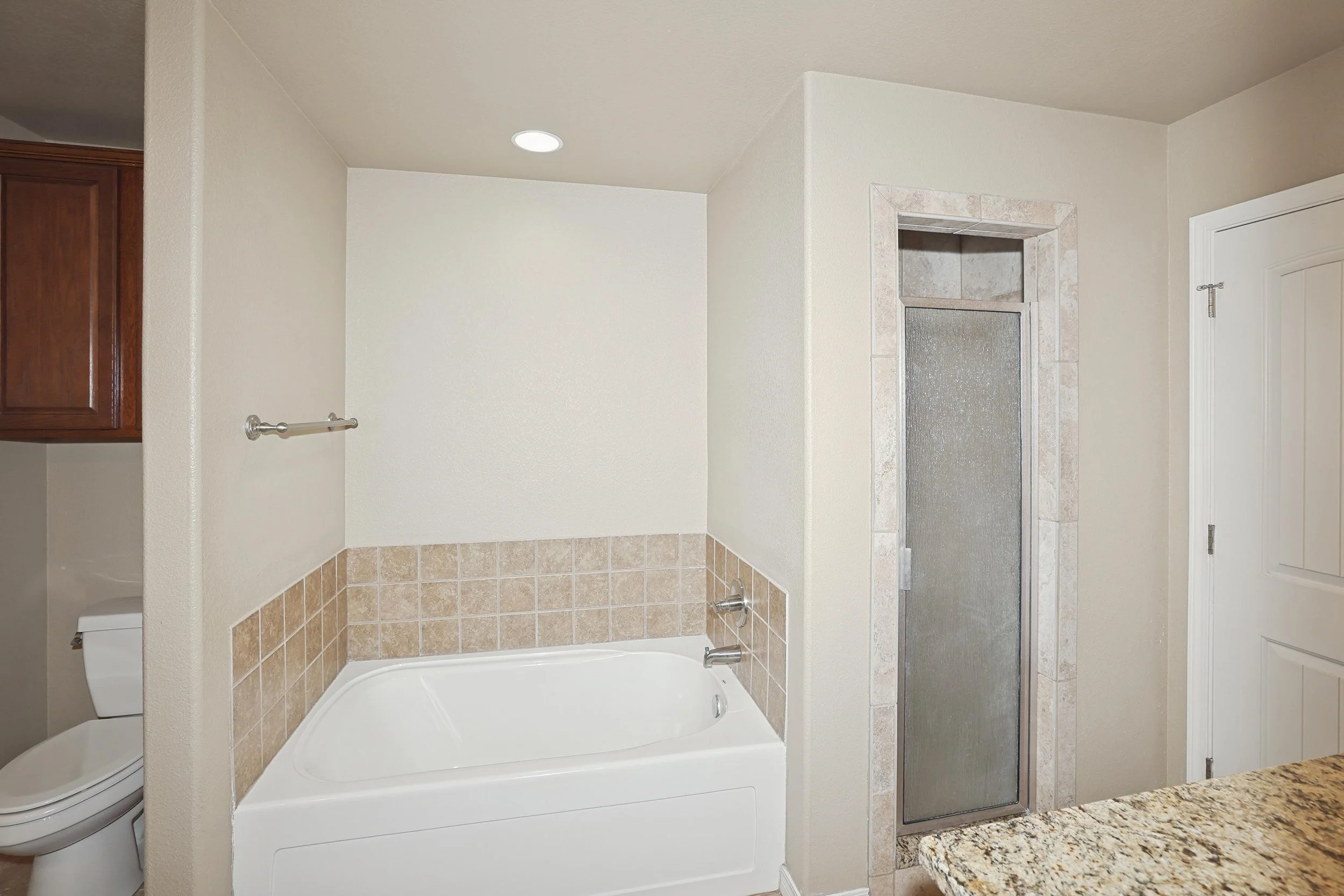 17-Primary Bathtub & Shower.jpg