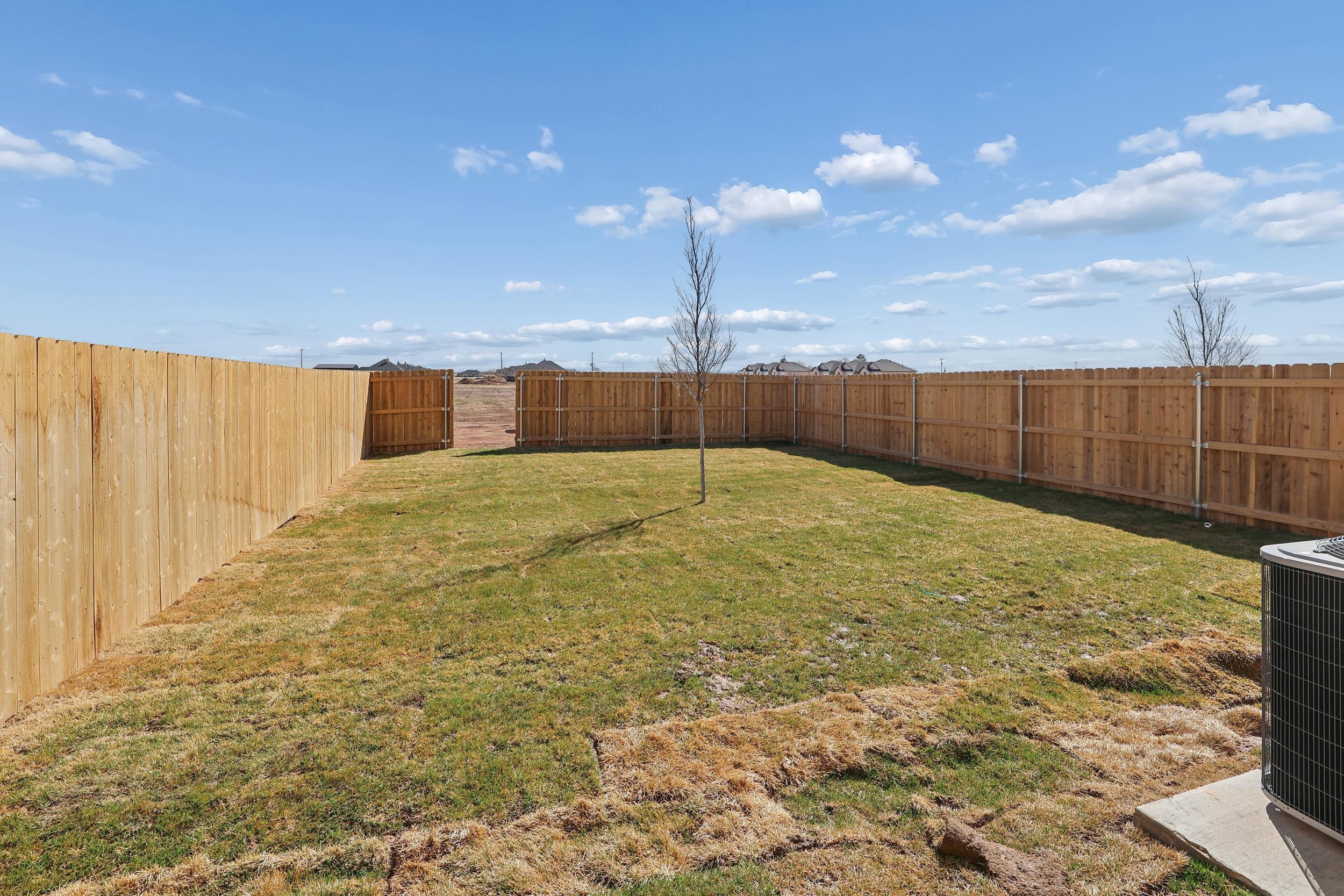 25-Backyard.jpg