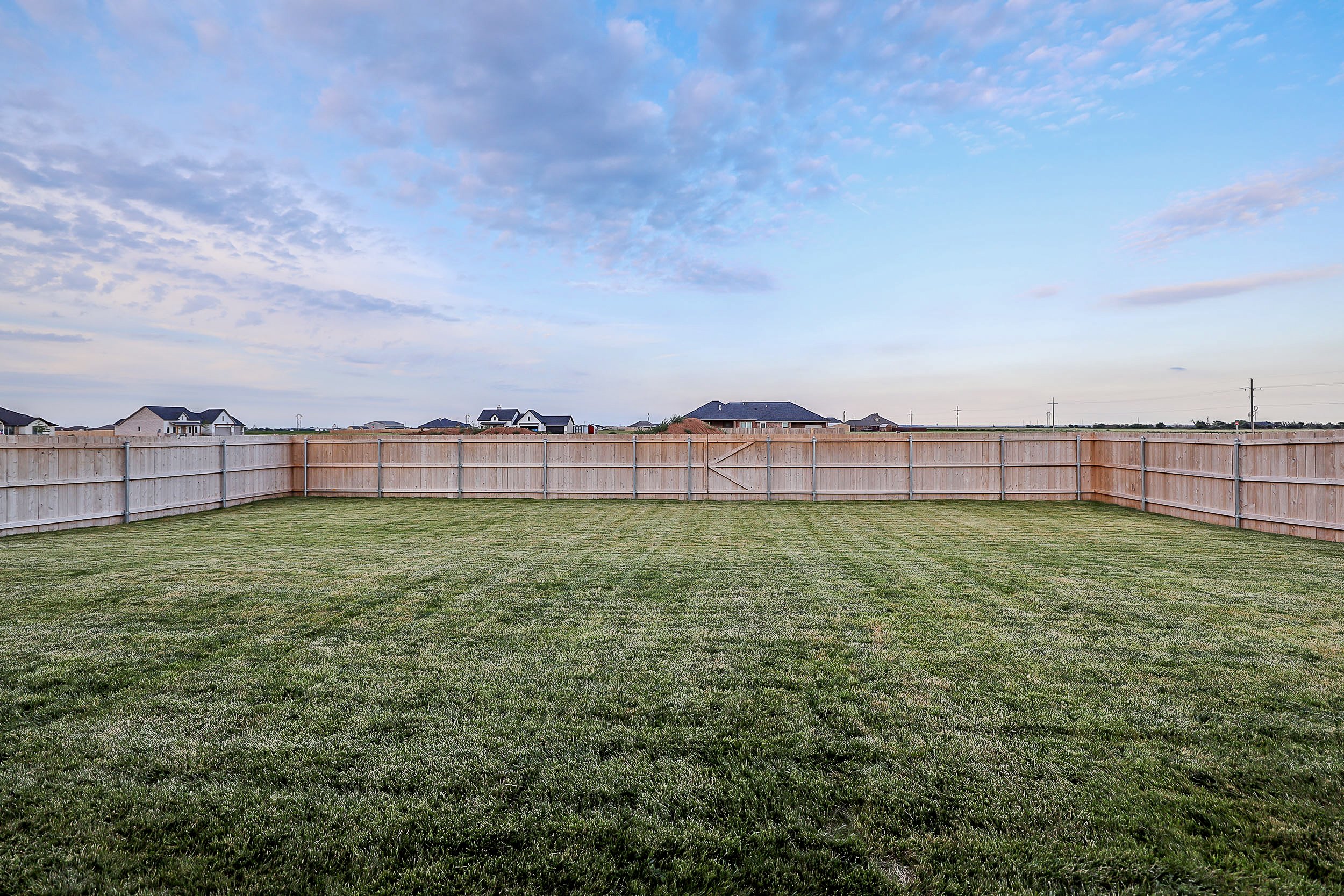 Backyard2.jpg