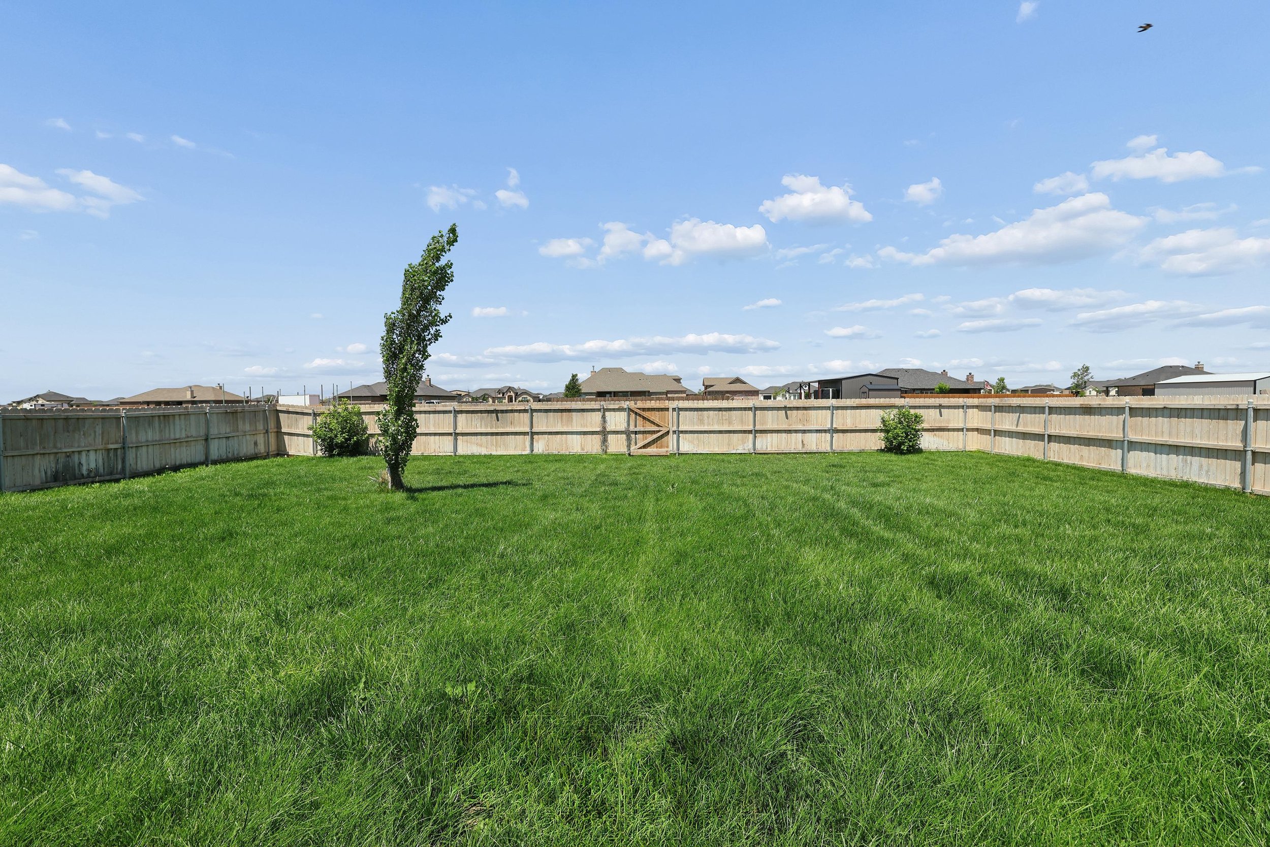 41-Backyard.jpg