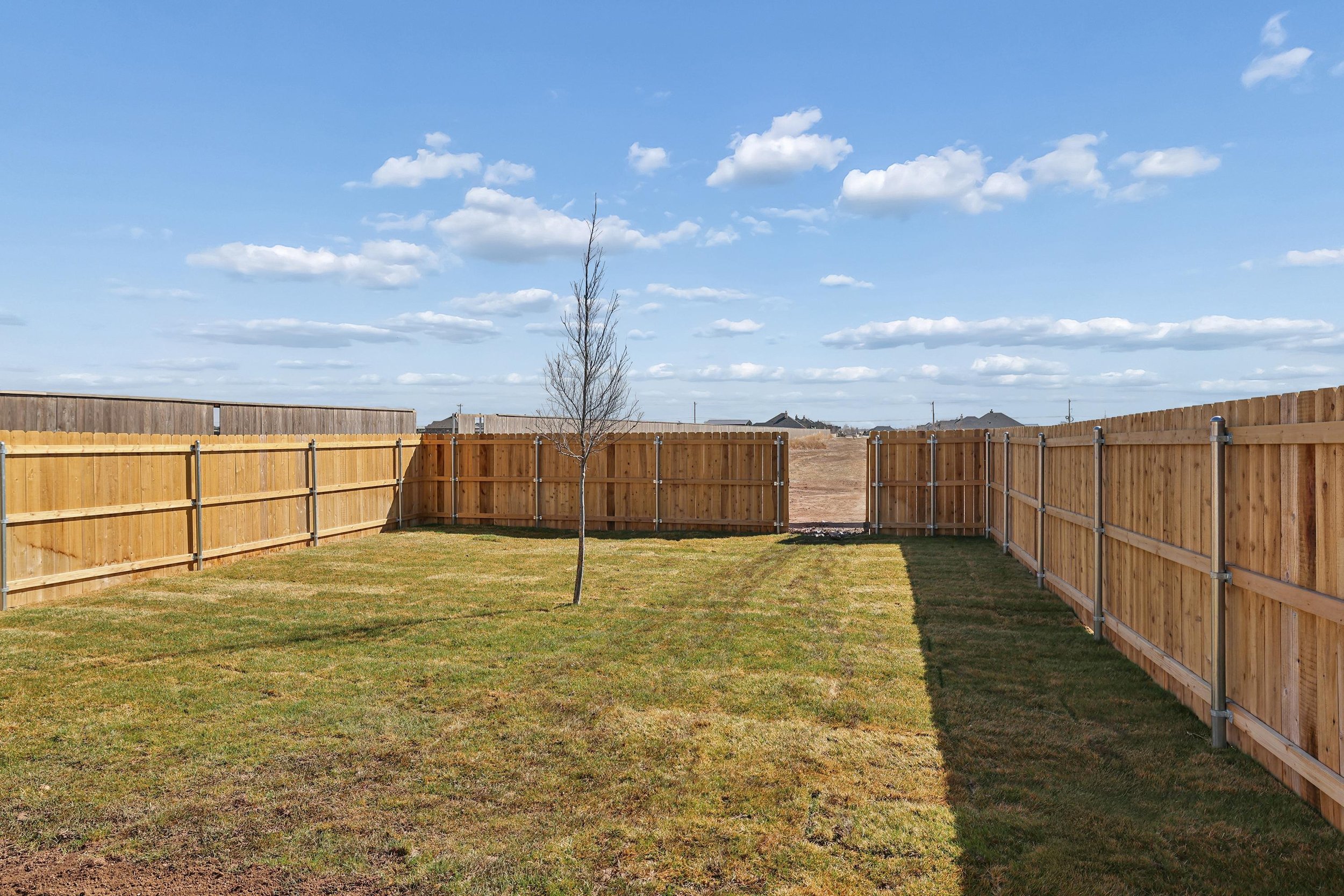 25-Backyard.jpg