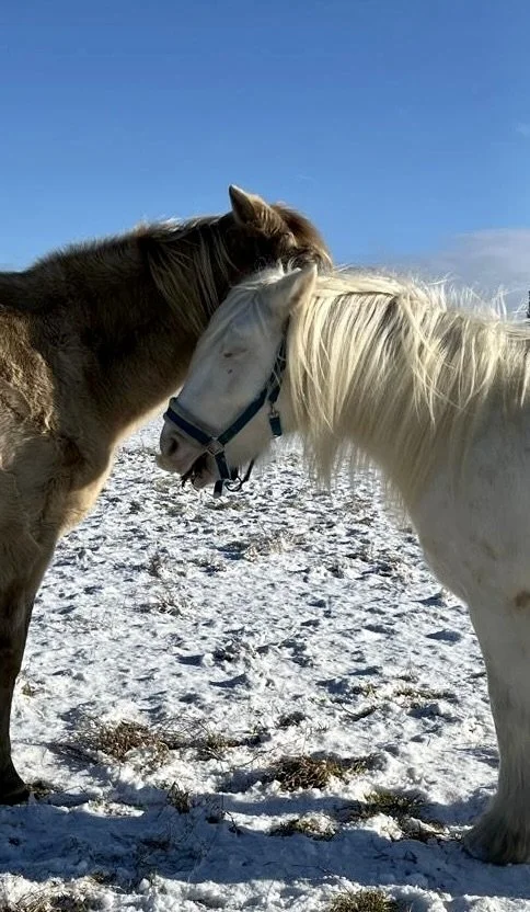 53760b13-f365-4b4e-88ab-6bea193550cc 2.jpg