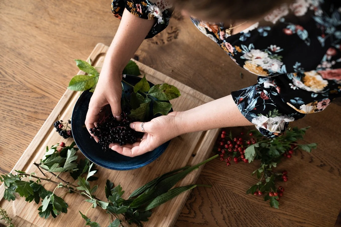 What is herbal medicine