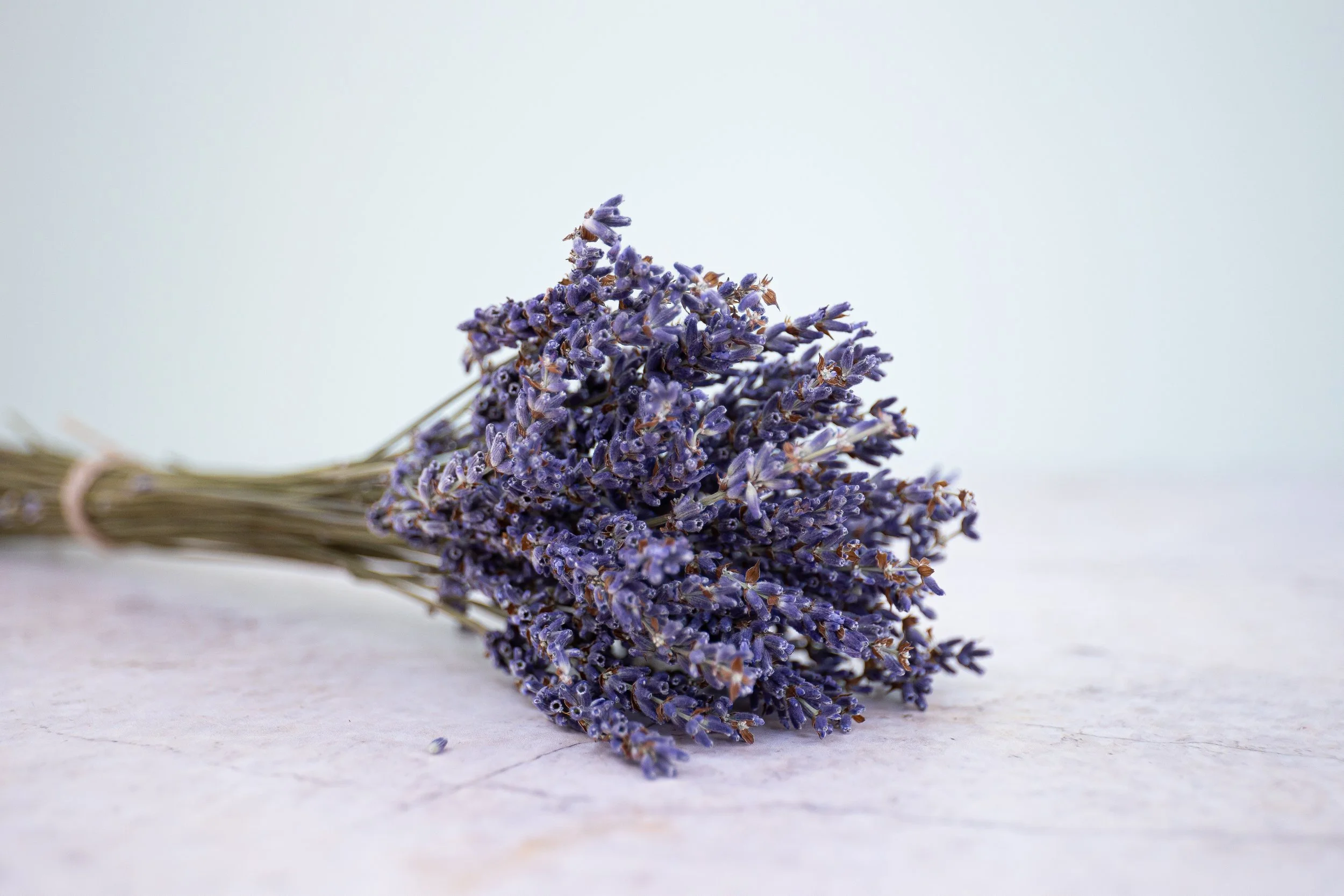 Contact Herbalist Rebecca Collison-Walker