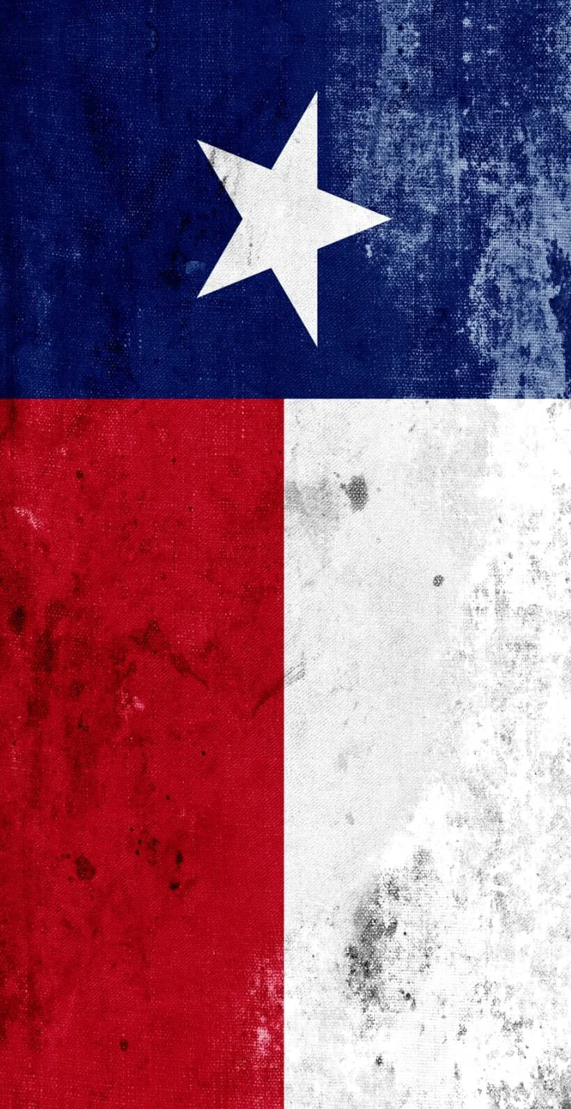 Grunge Texas State Flag Door Wrap