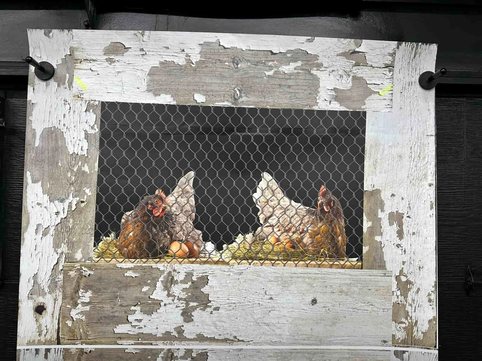 Chicken Coop Rustic Freezer Wrap