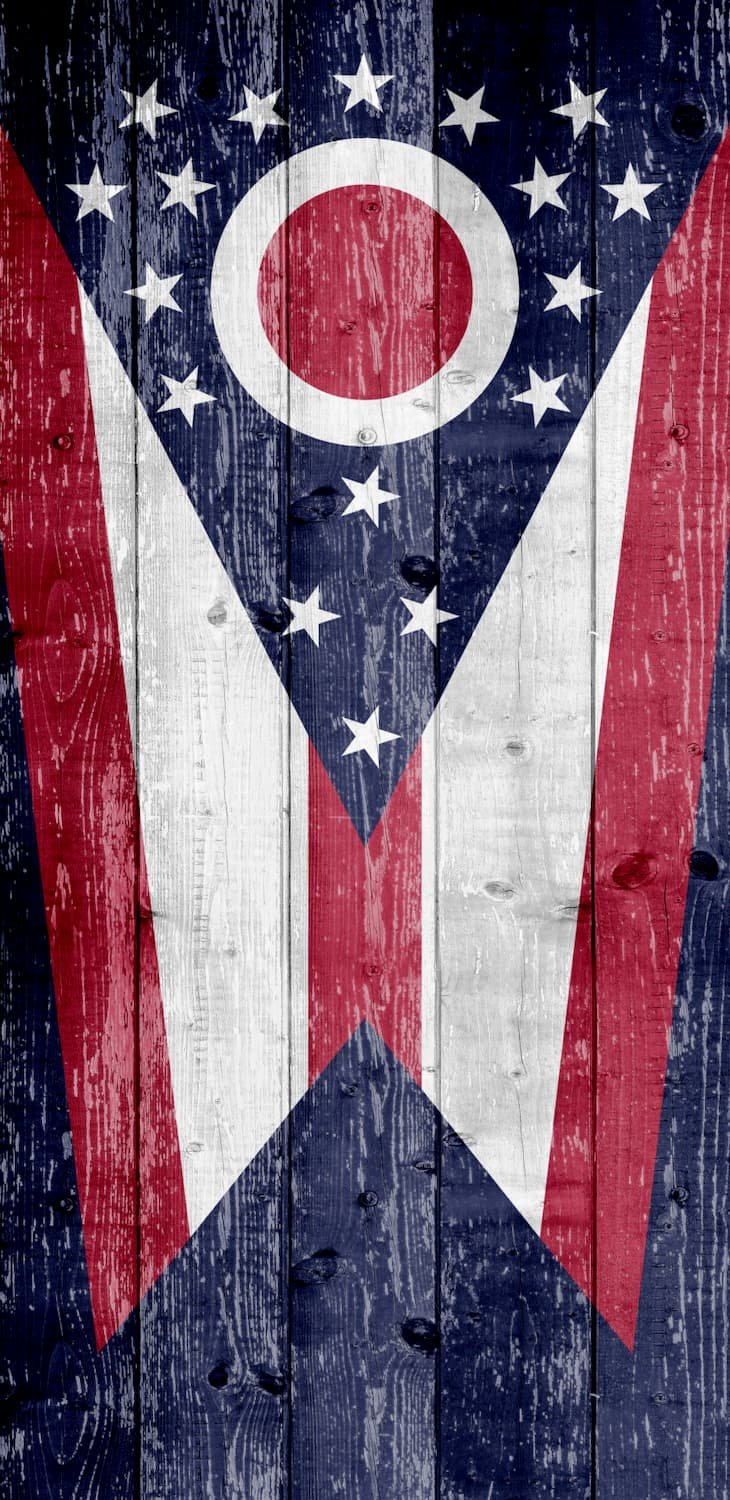wooden mural mural Ohio red white and blue flag vinyl door wrap (Copy)