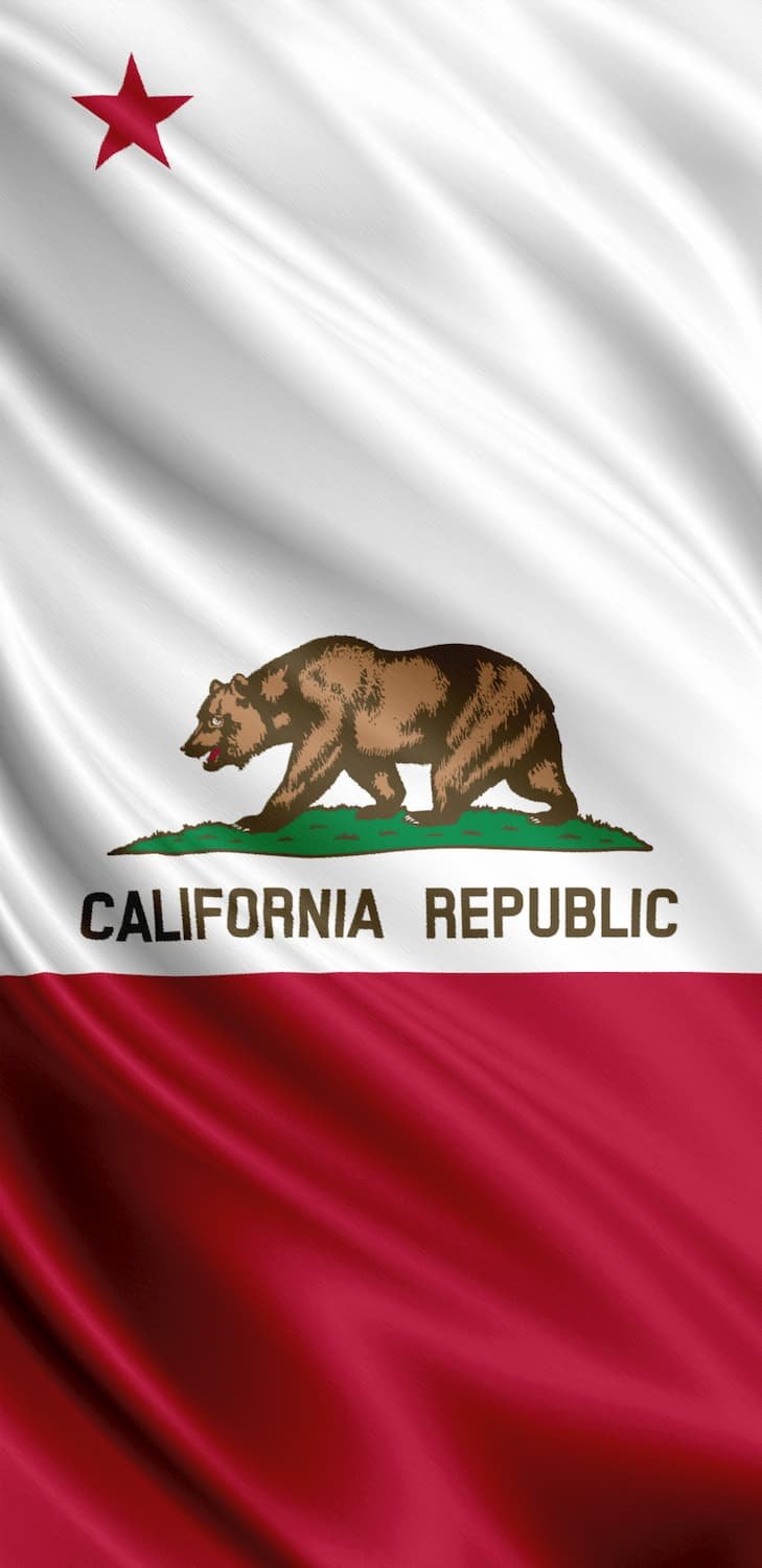 wavy california state flag, red and white with bear and star, custom-printed vinyl door wrap