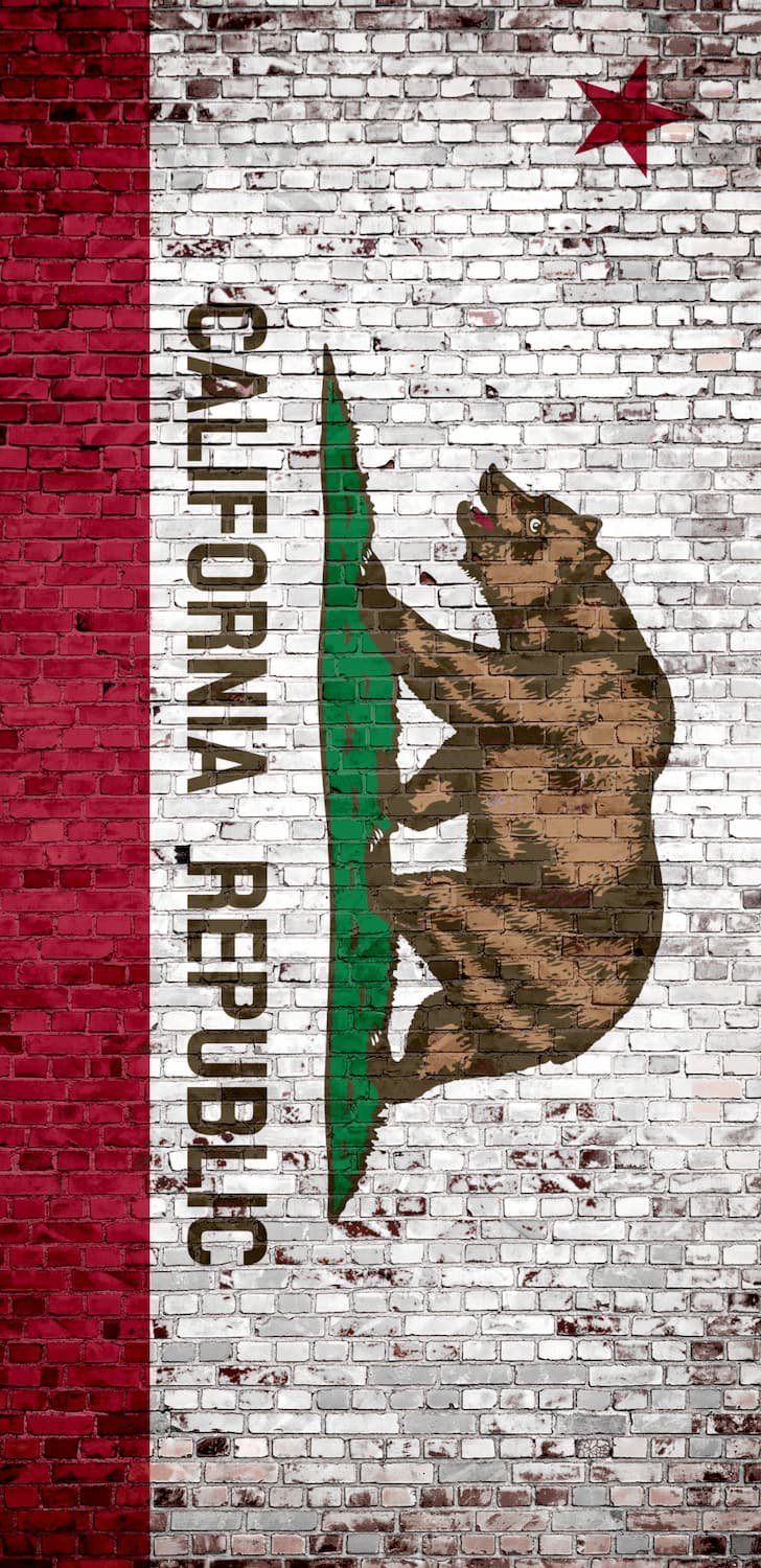 california state flag, red and white with bear and star, weathered mural on a brick wall texture, custom-printed vinyl door wrap