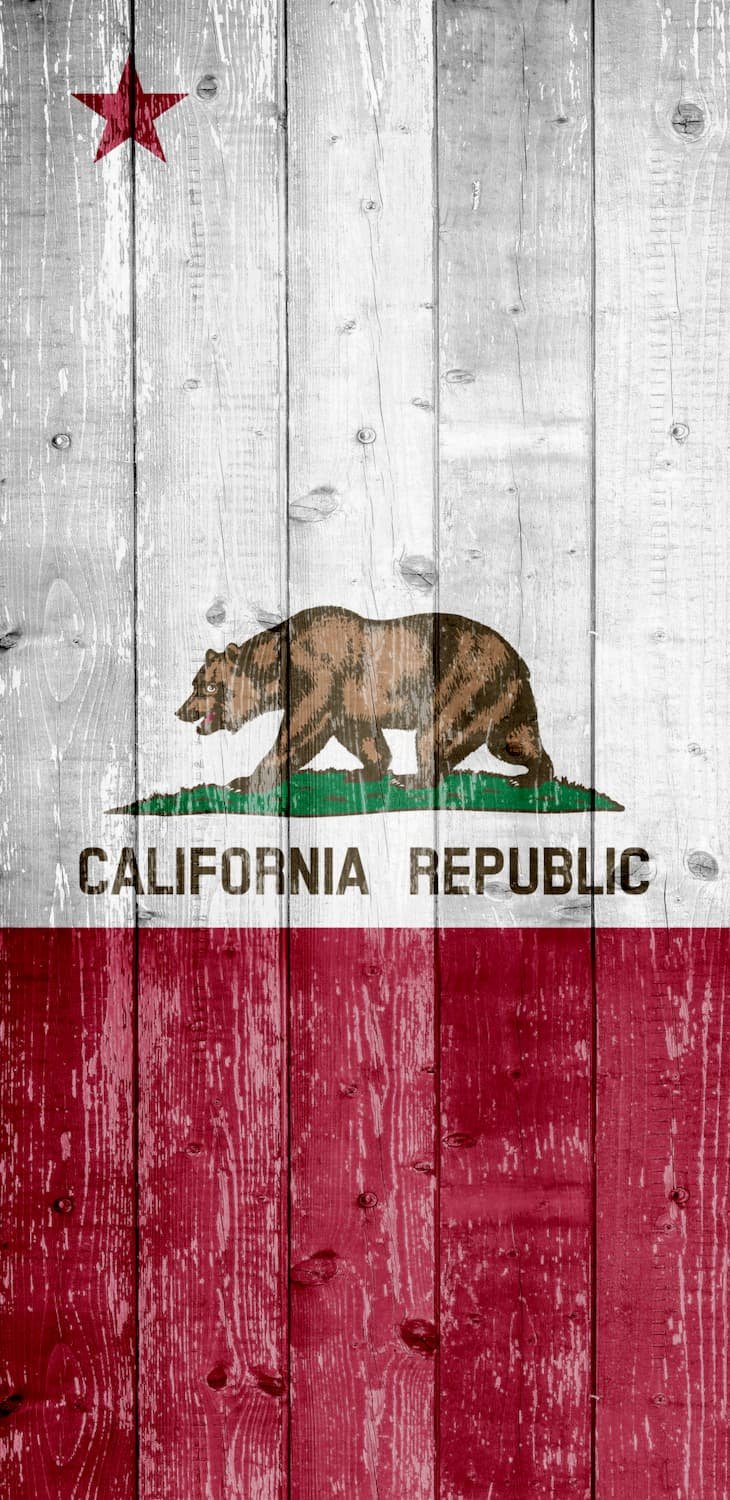 california state flag, red and white with bear and star, weathered mural on a wood board or fence texture, custom-printed vinyl door wrap (Copy)