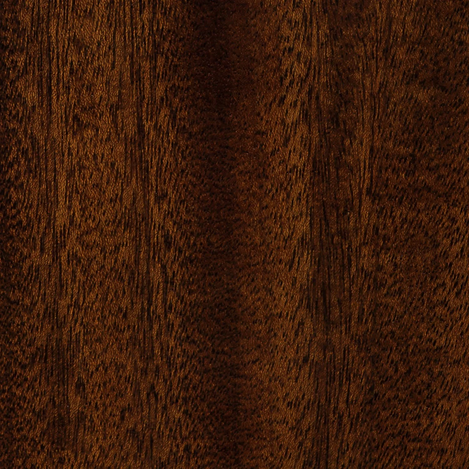 Dark Elm_Close Up.jpg