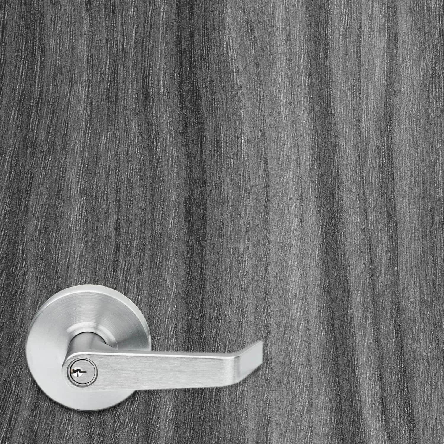Black and White_Close Up.jpg