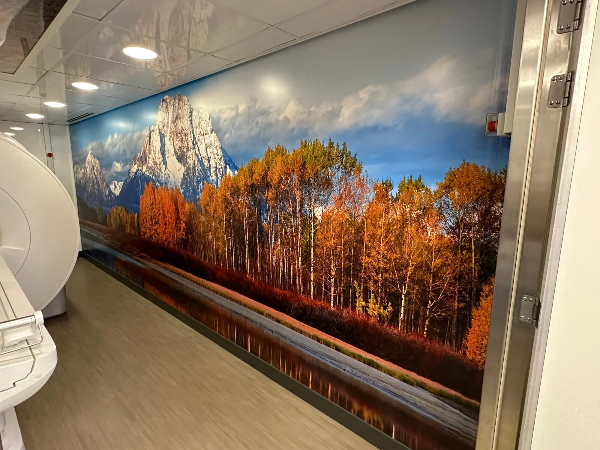 Wall Custom Printed Wrap Product Info