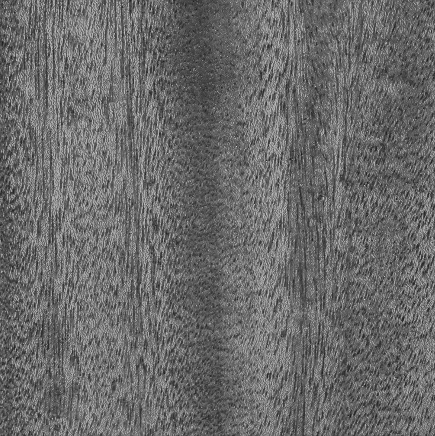 Black & White_Close Up.jpg