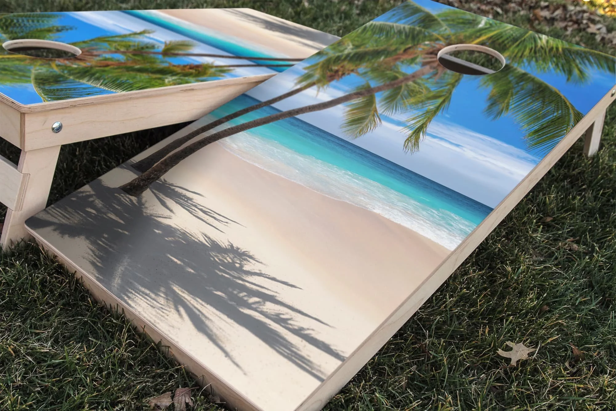 Close-Up Artsy Shot_Palm Tree Sandy Beach.jpg