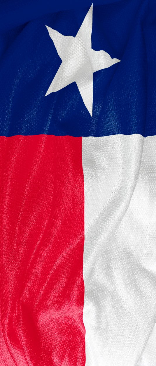 Texas Flag Wavy Fabric Design Door wrap