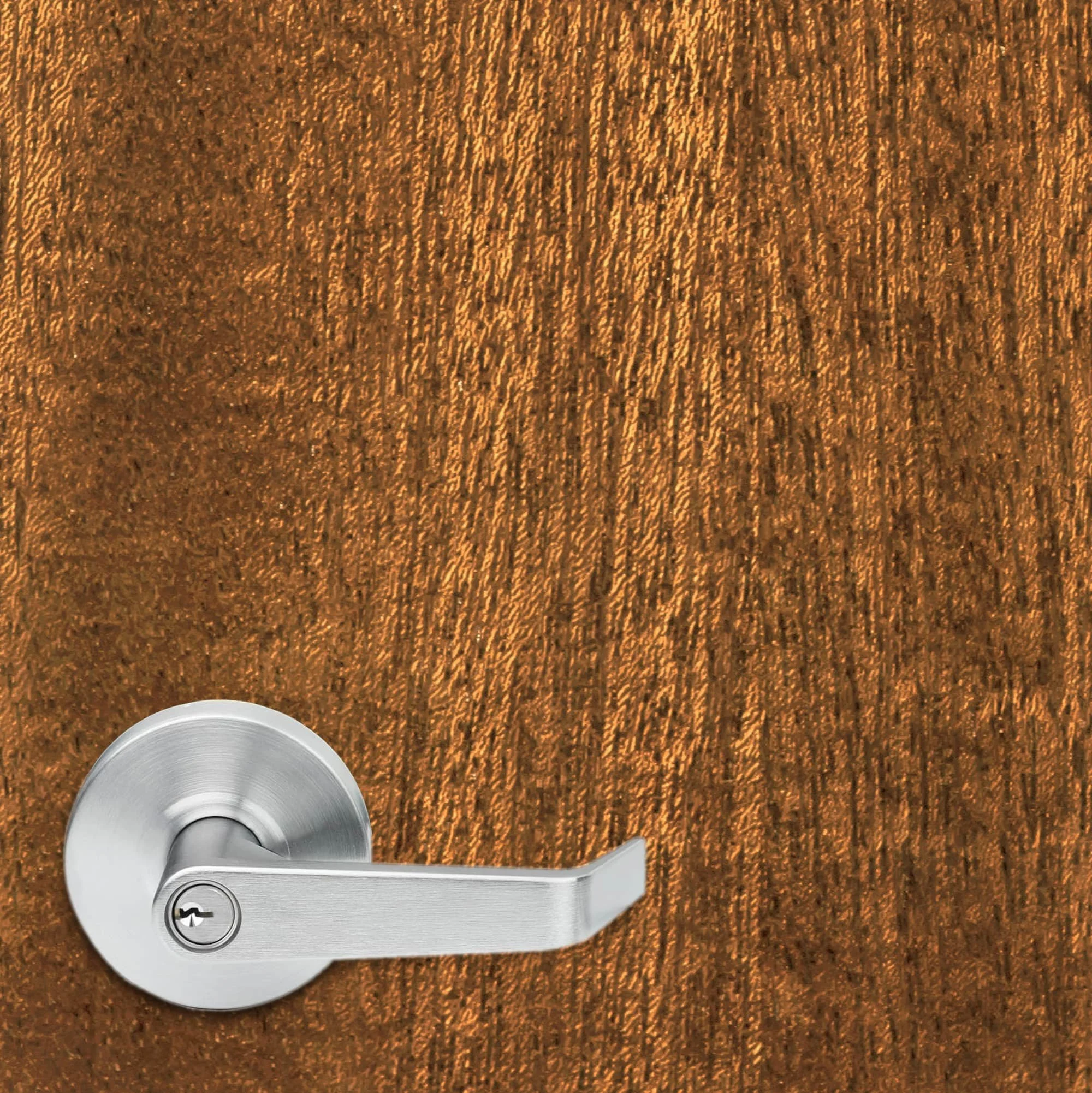 Texture Size_American Elm.jpg