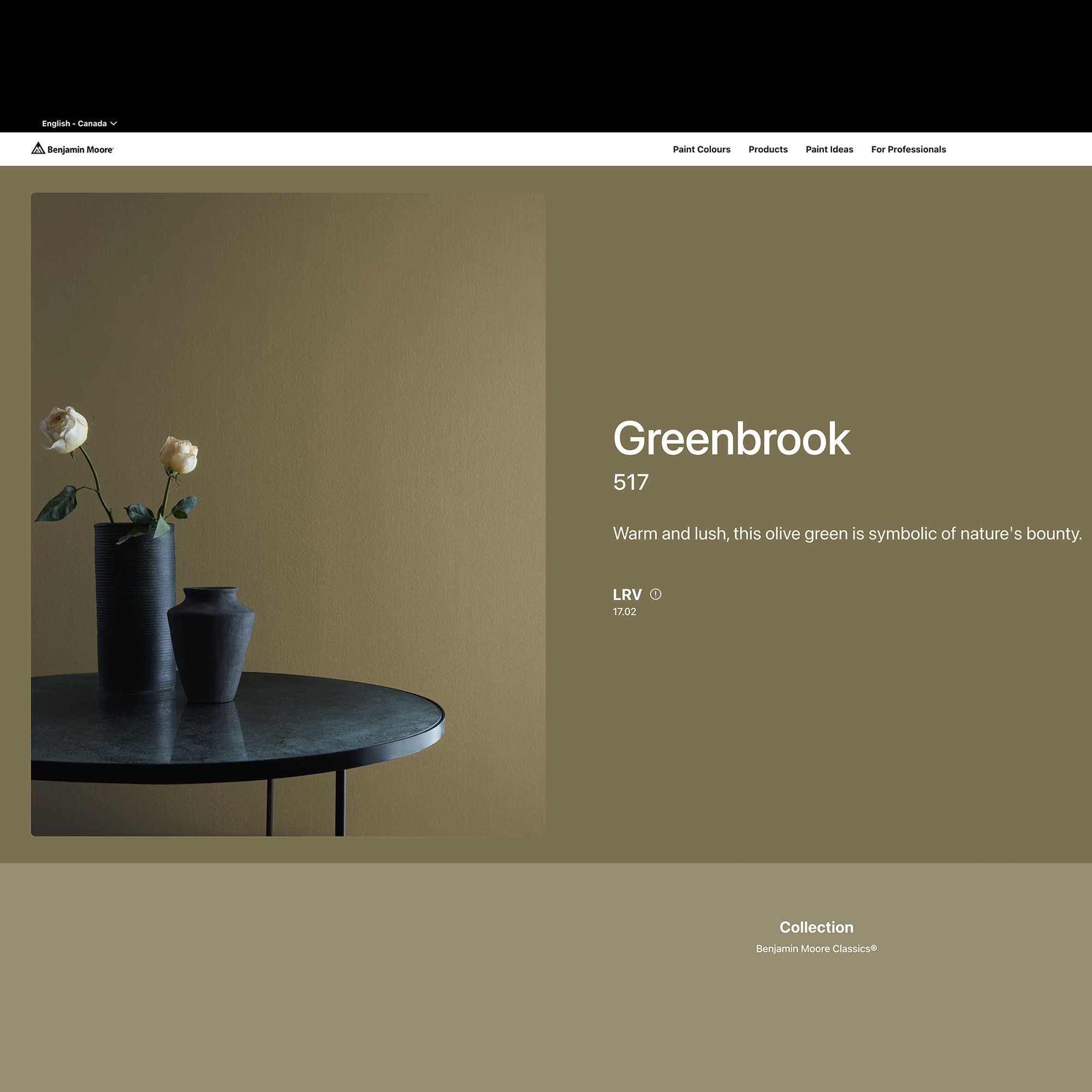 screenshot of this paint color on Benjamin Moore's website. Color shown is Greenbrook 517