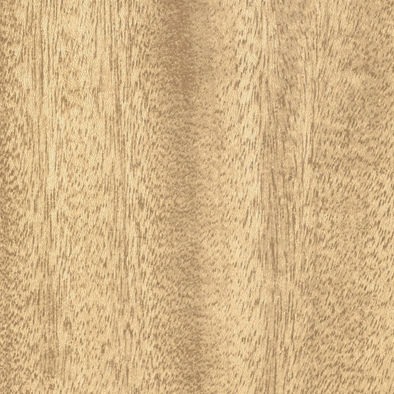Raw Elm_Close Up.jpg