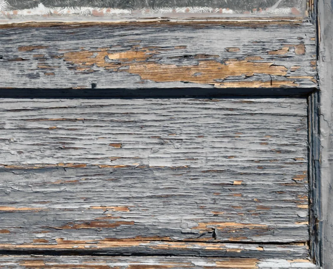 Screenshot 2024-12-27 at 4.03.17 PM.jpg