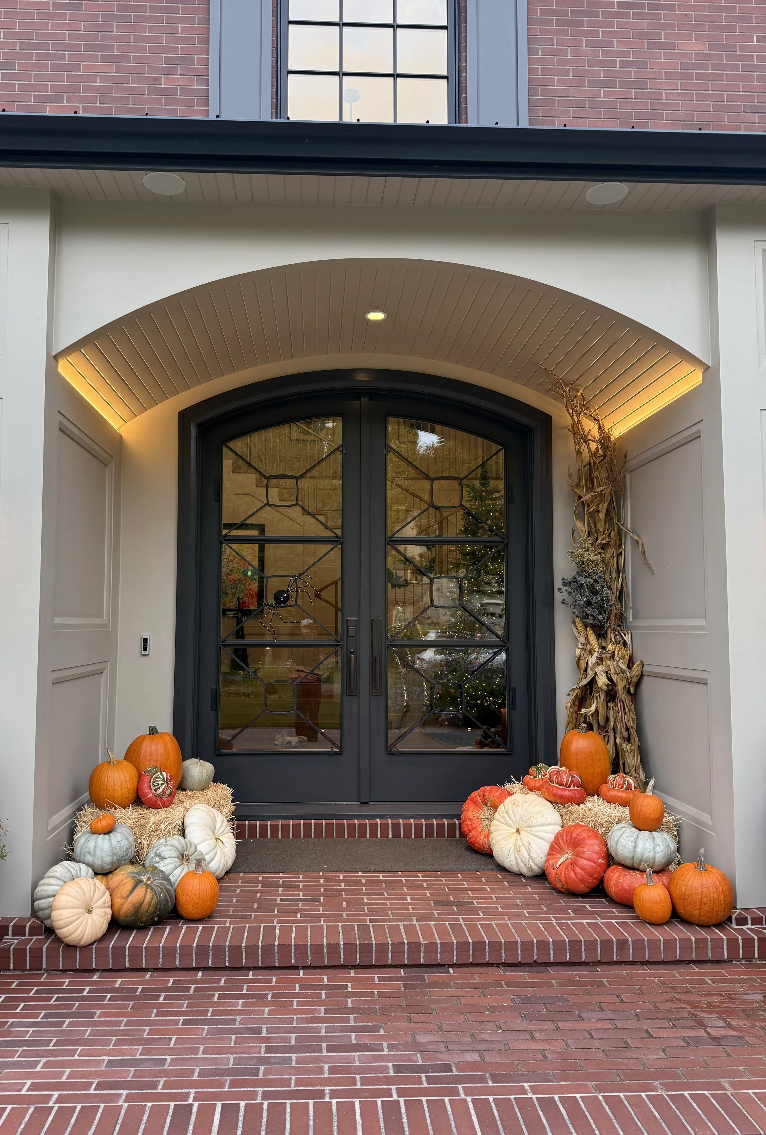 Pumpkin Display 22.jpeg