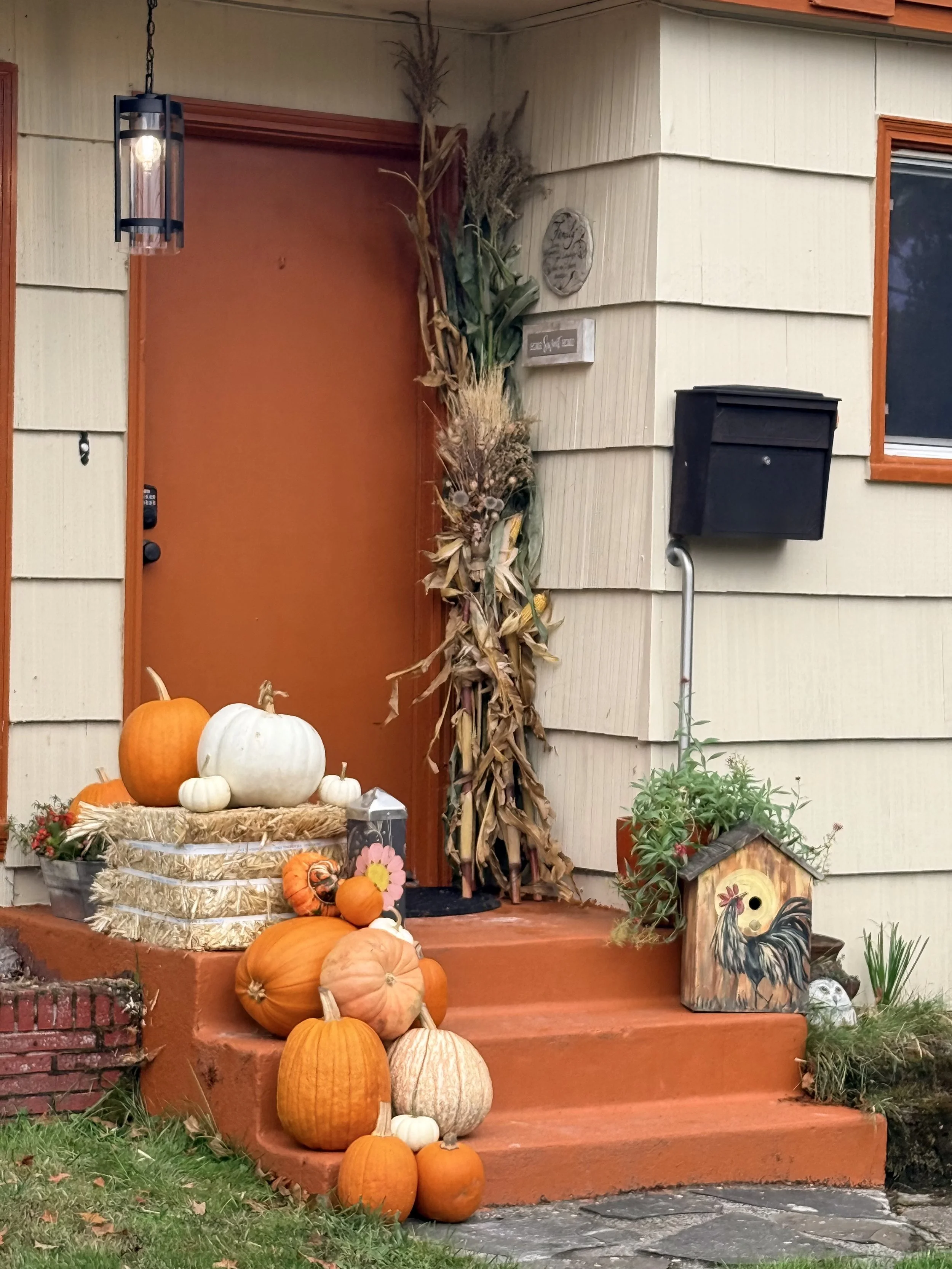 Pumpkin Display 6.jpeg