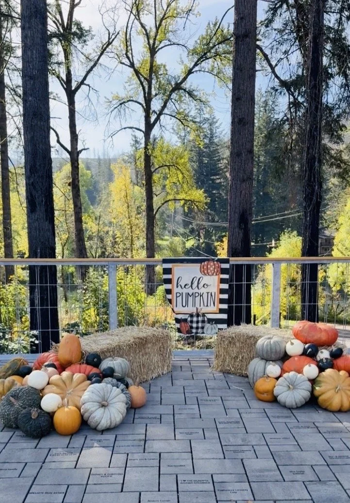Pumpkin display 1.jpg