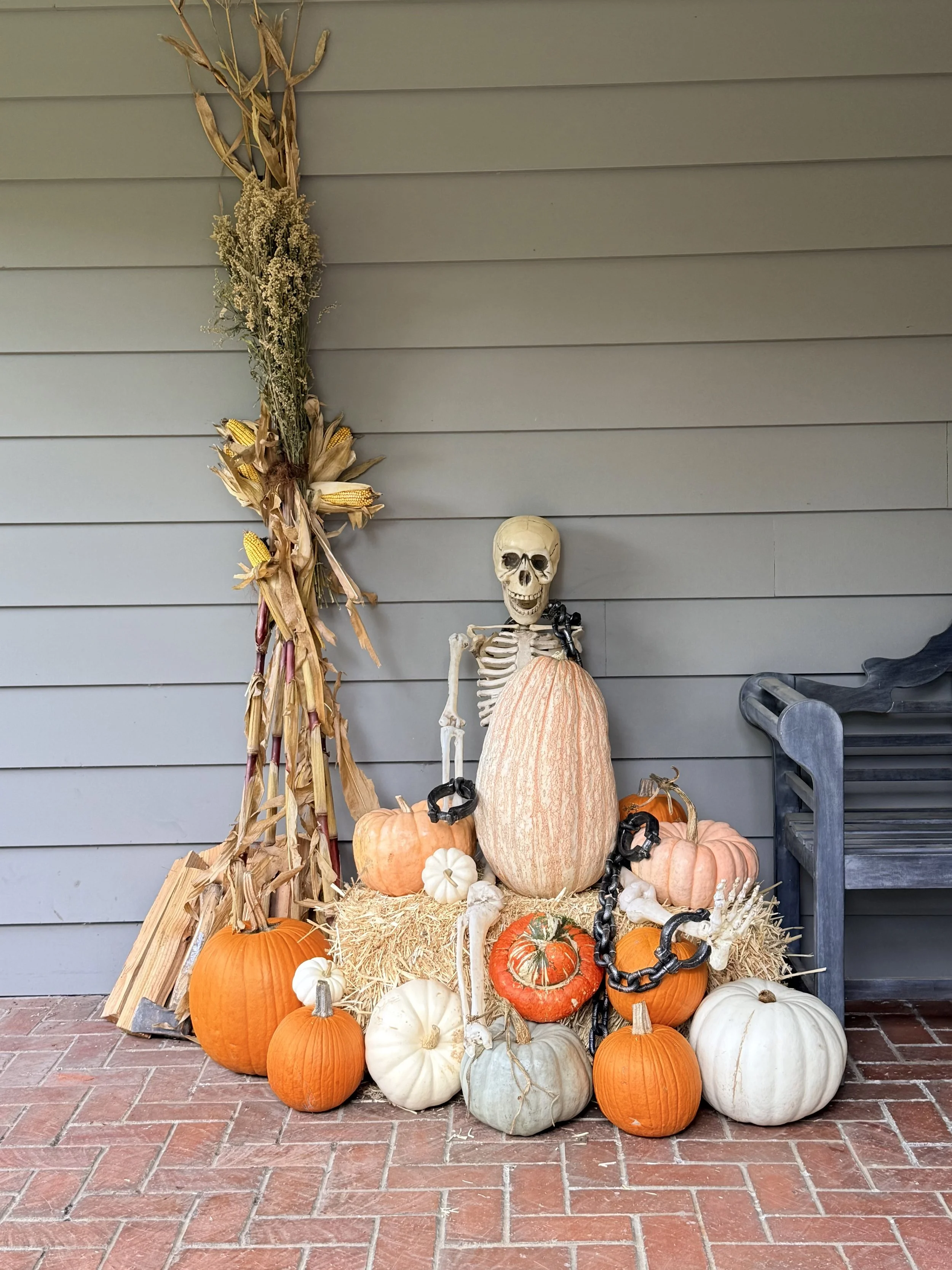 Pumpkin Display 2.jpeg
