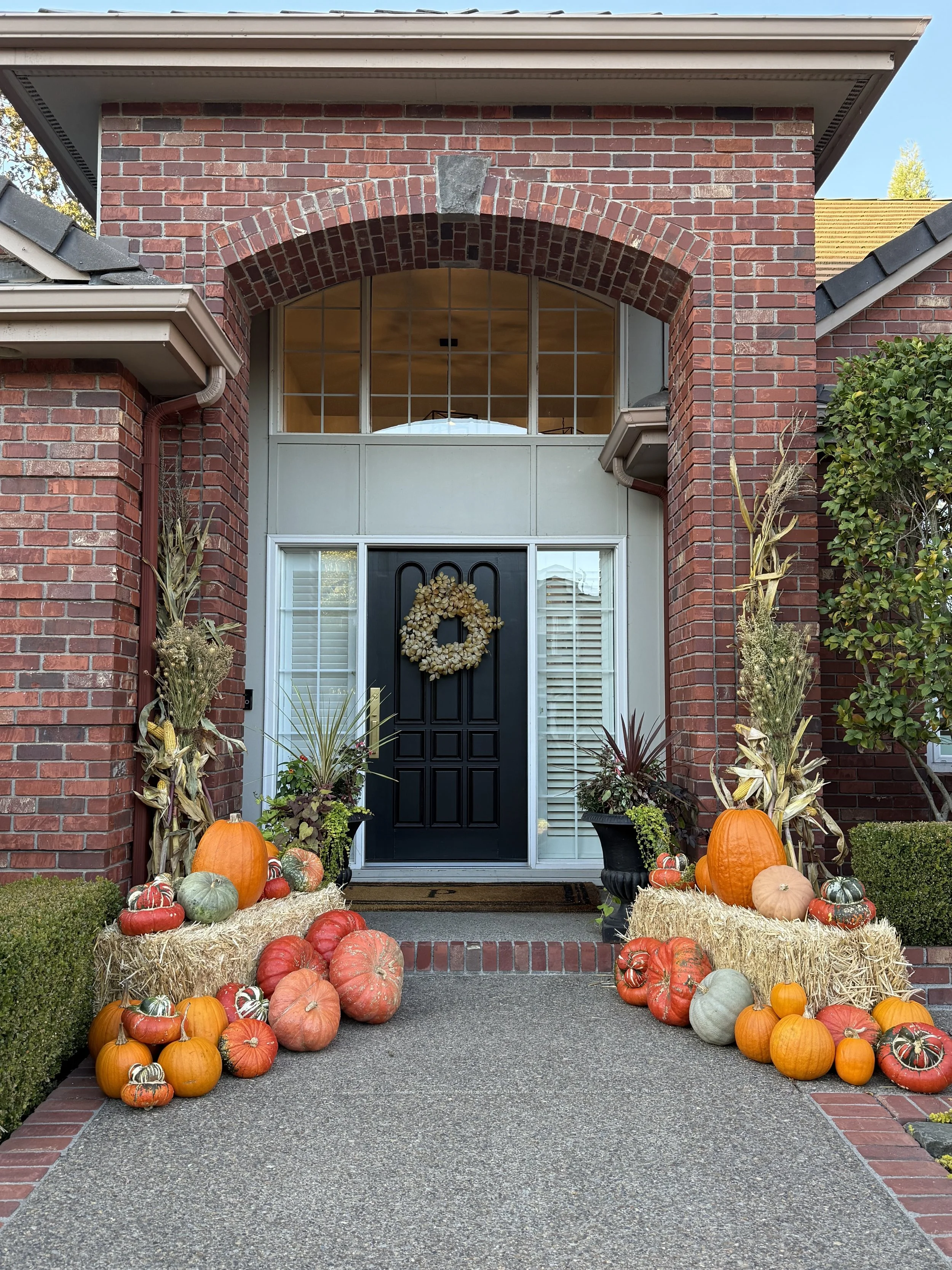 pumpkin display 5.jpeg