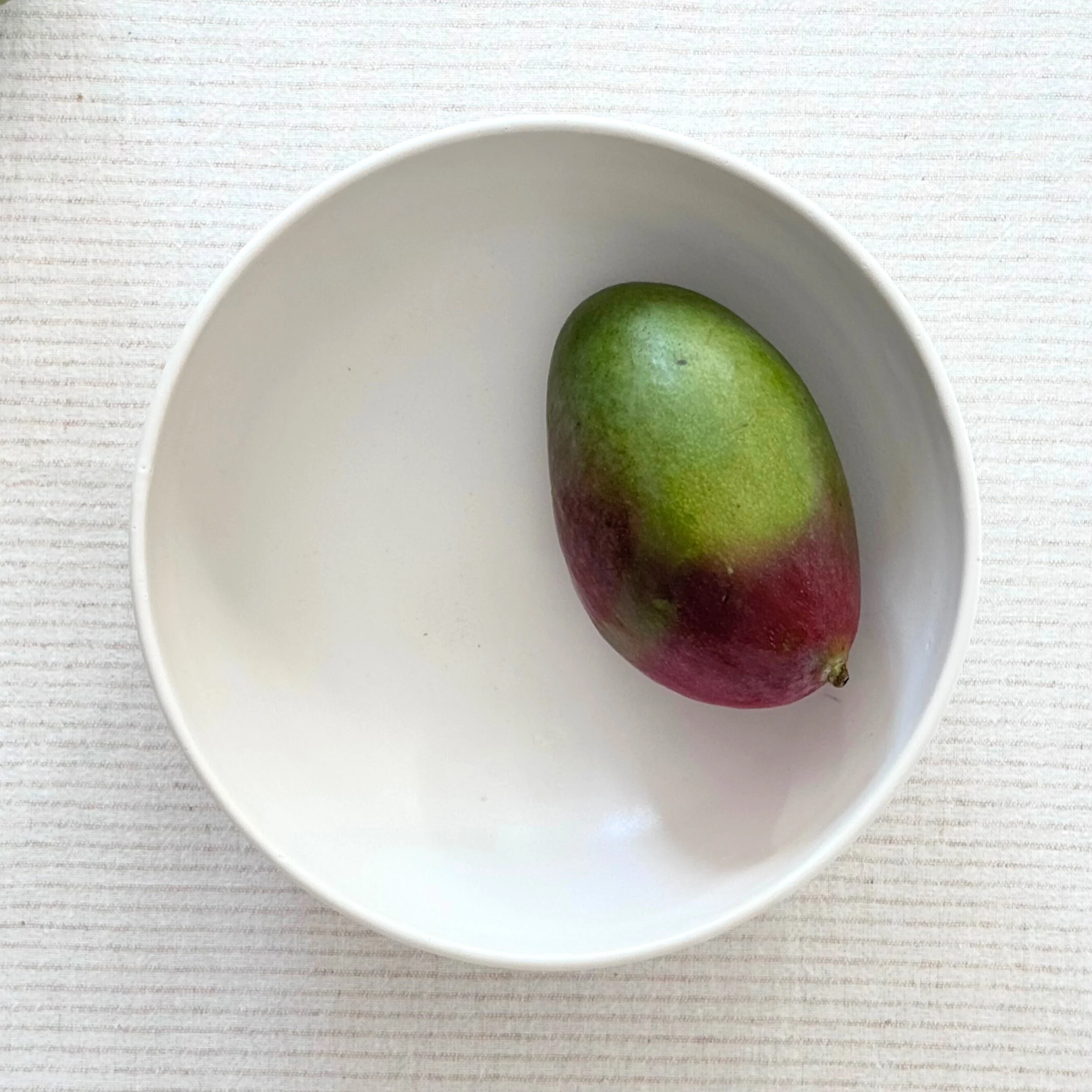 bowl-white-mango.jpeg