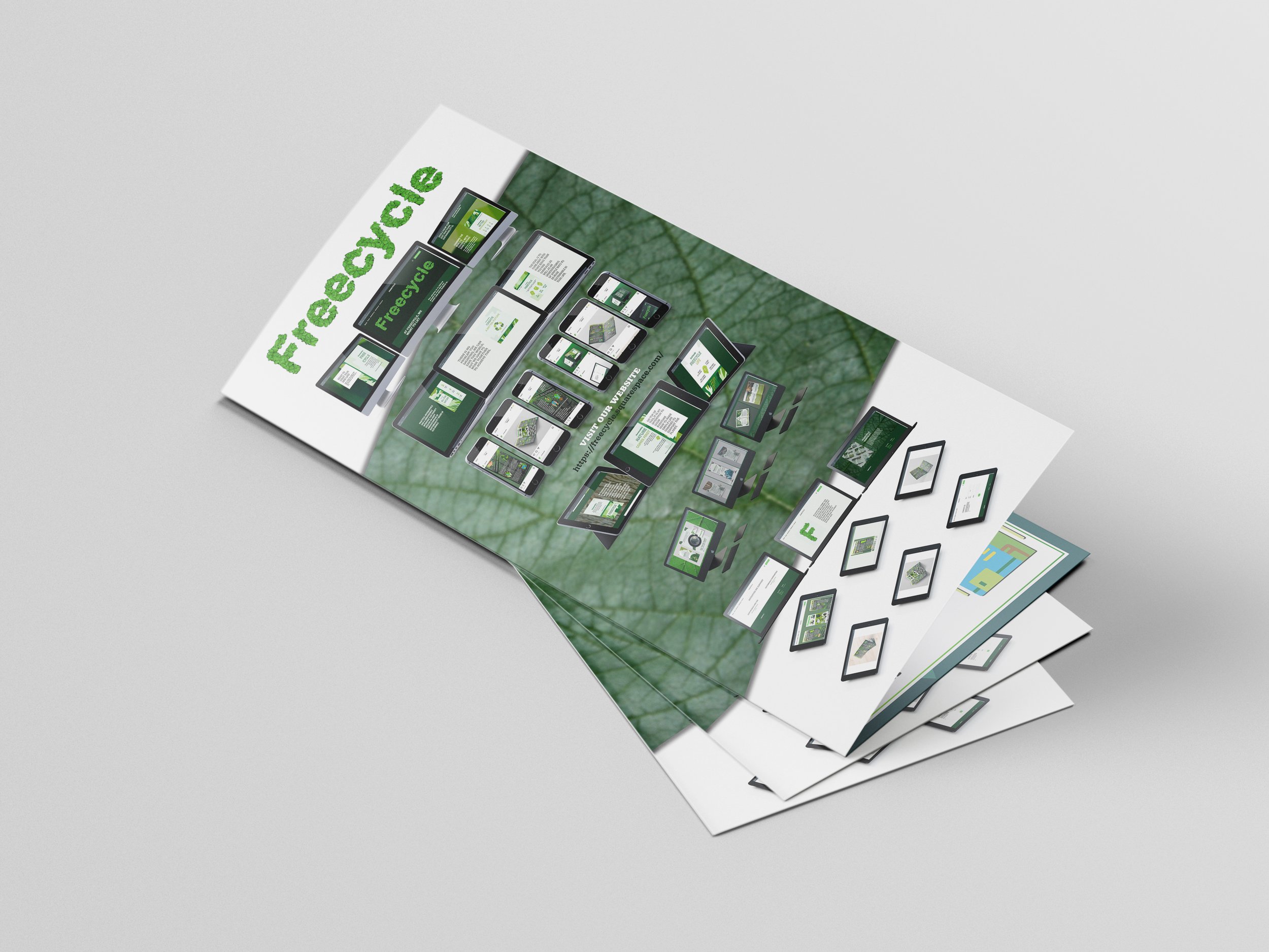 cardboard brochure.jpg