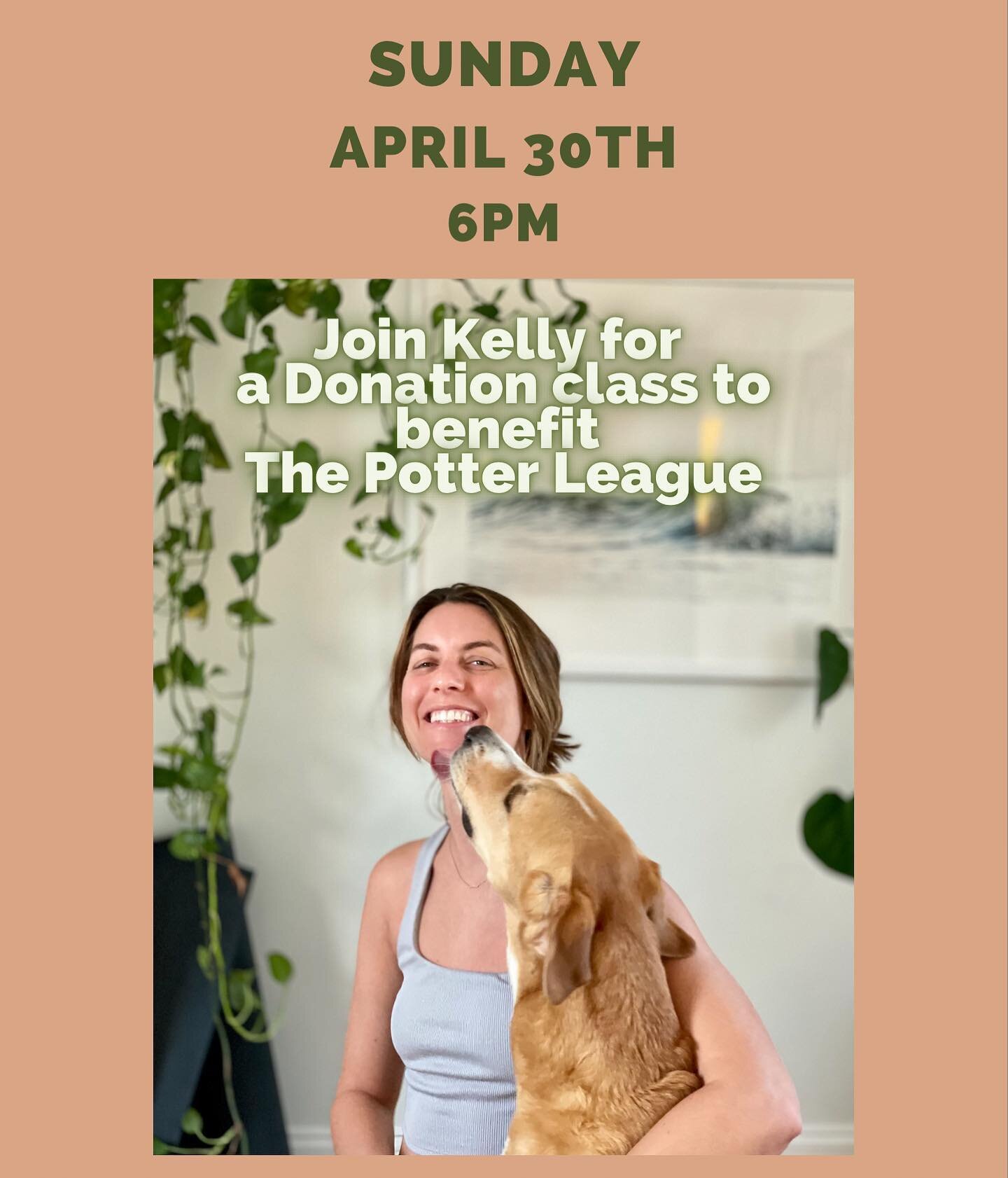 🐾This Sunday at 6pm🐾

Join Kelly on National Adopt A Pet Day for a donation class to support The Potter League, our local non-profit animal shelter where Kelly is a regular volunteer 💜

Cash or check donations will be collected at the studio befor