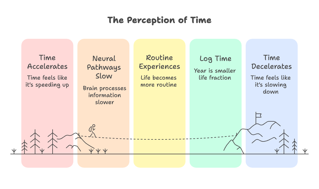 An infographic about the perception of tome.